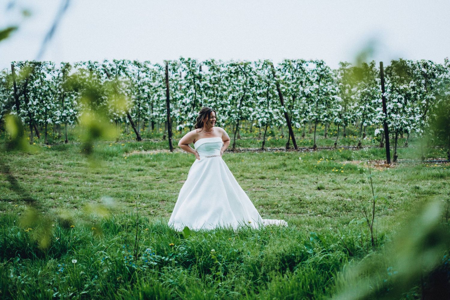 Scenic vineyard wedding photo shoot with white dress against green grapevines.