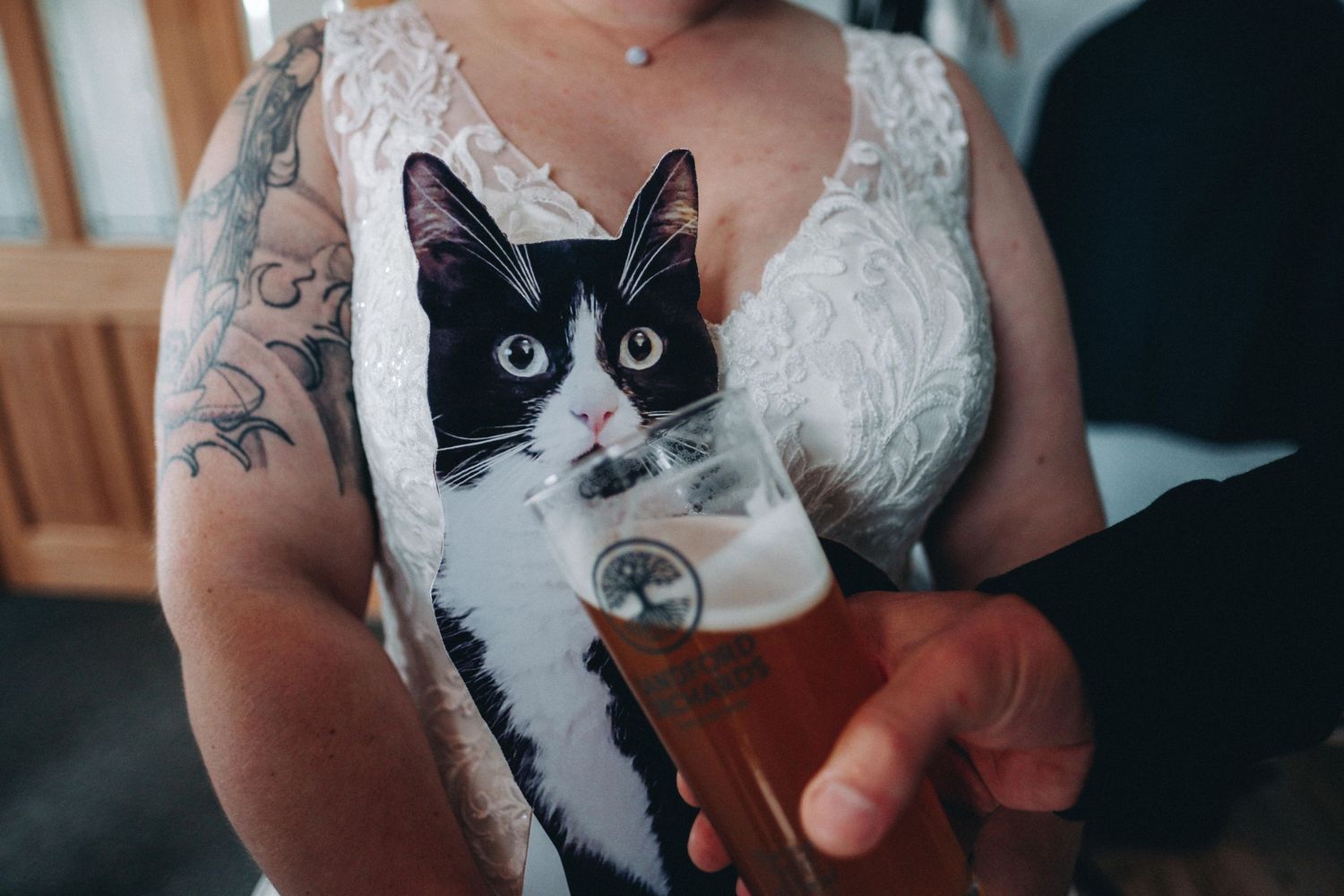 A black and white cat being held while wearing a bowtie collar sits against someone in a white lace garment.