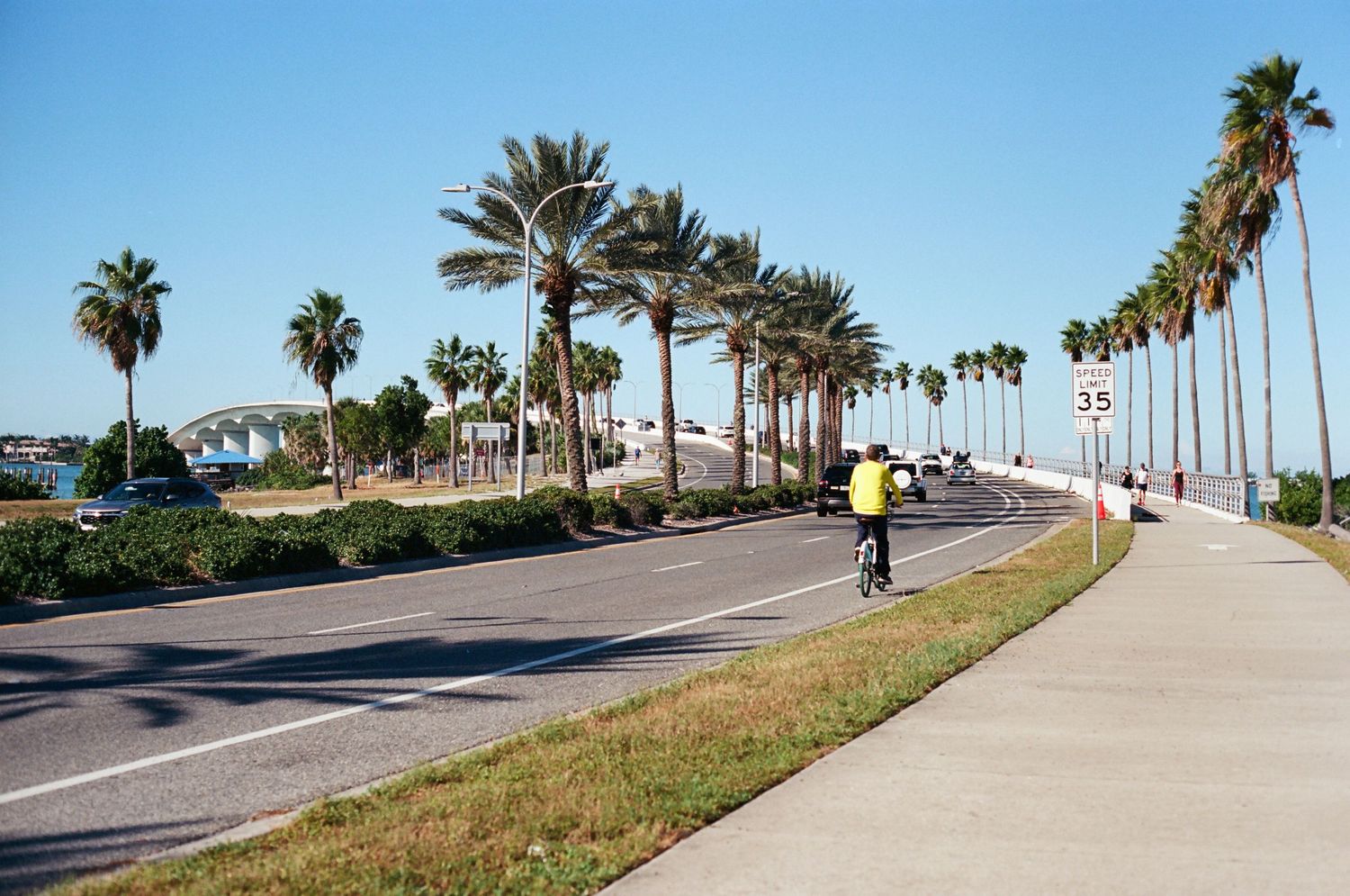 Cyclist riding along a scenic palm tree-lined coastal road on a clear sunny day with blue skies.