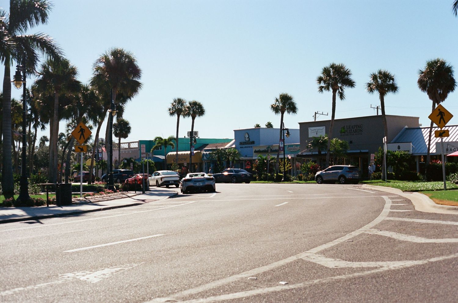 Sunny Florida street lined with palm trees, shops, and parked cars on a clear blue sky day.