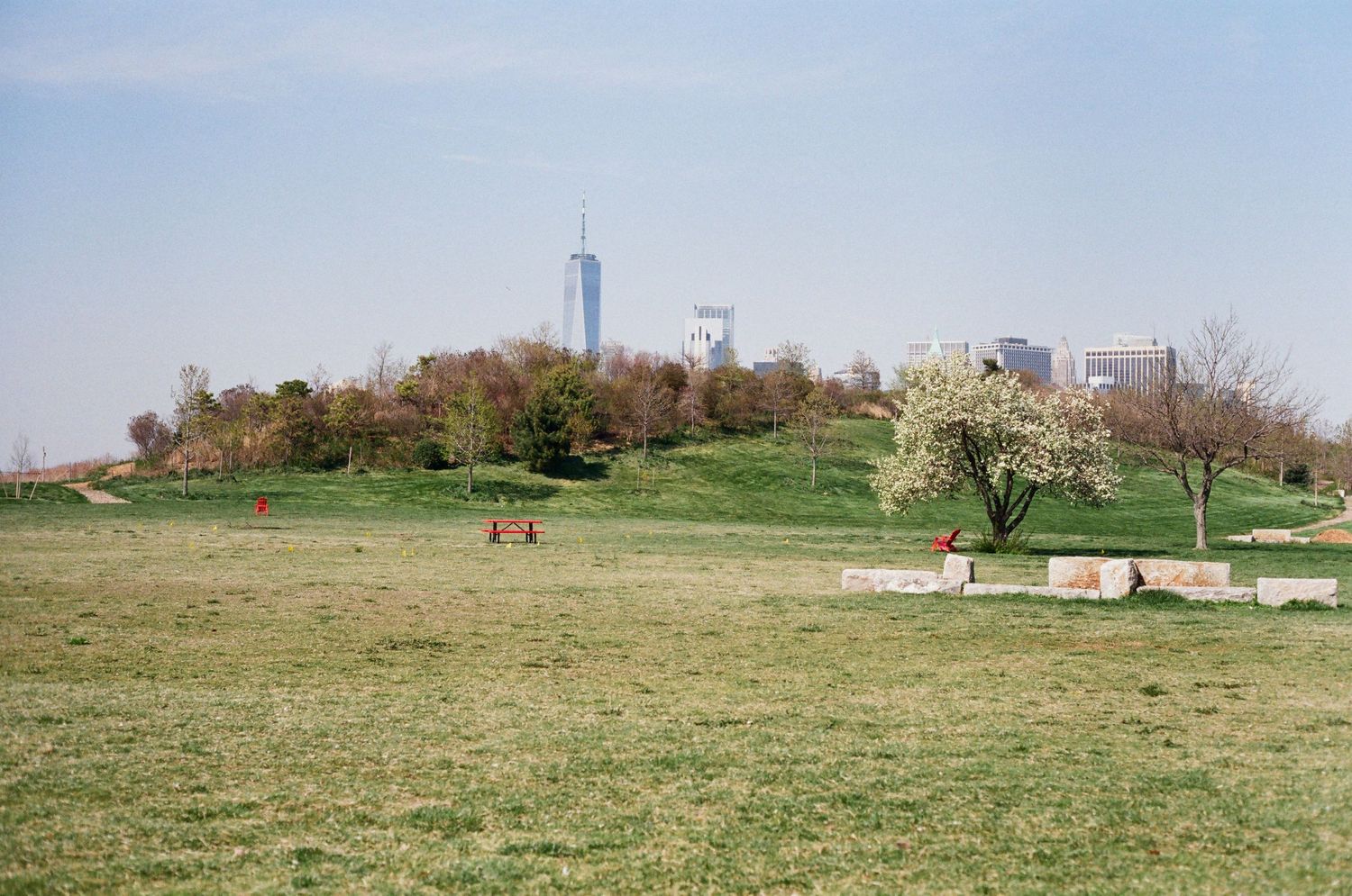 Expansive green park with blooming trees and city skyline including tall skyscrapers in the background.
