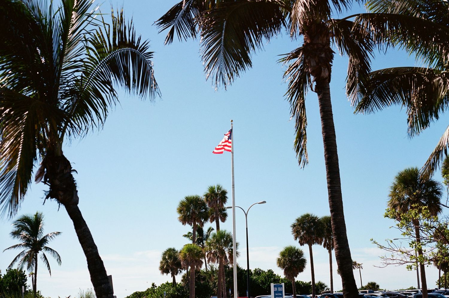 American flag flying on a tall flagpole surrounded by tropical palm trees under a clear blue sky.