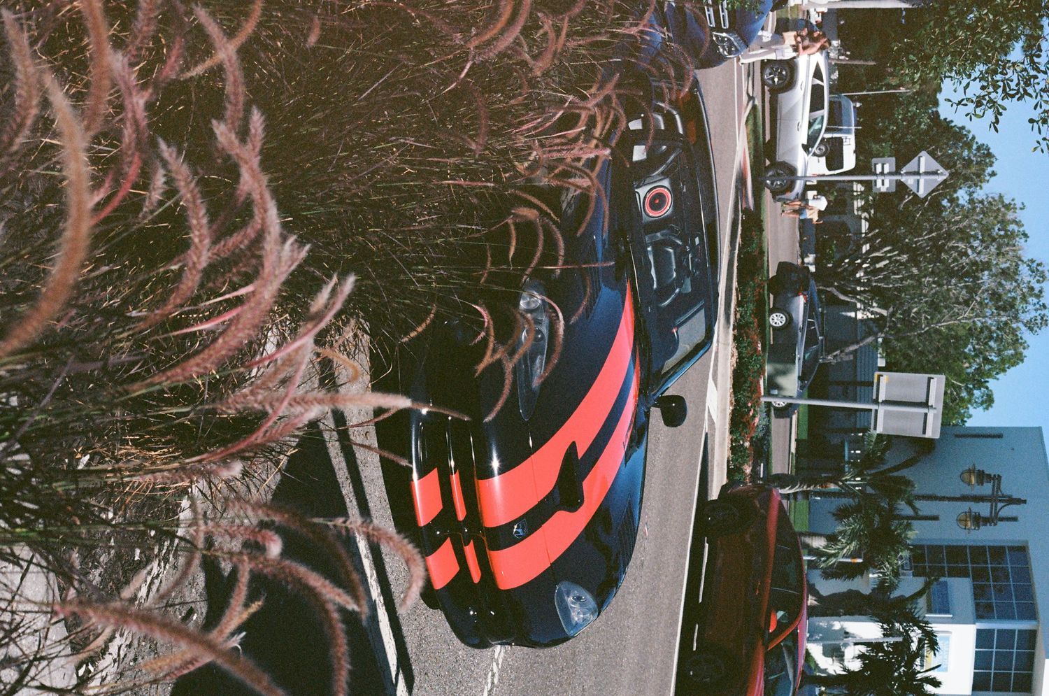 Colorful sneakers with orange and blue design displayed outdoors near trees and parked cars on a sunny day.