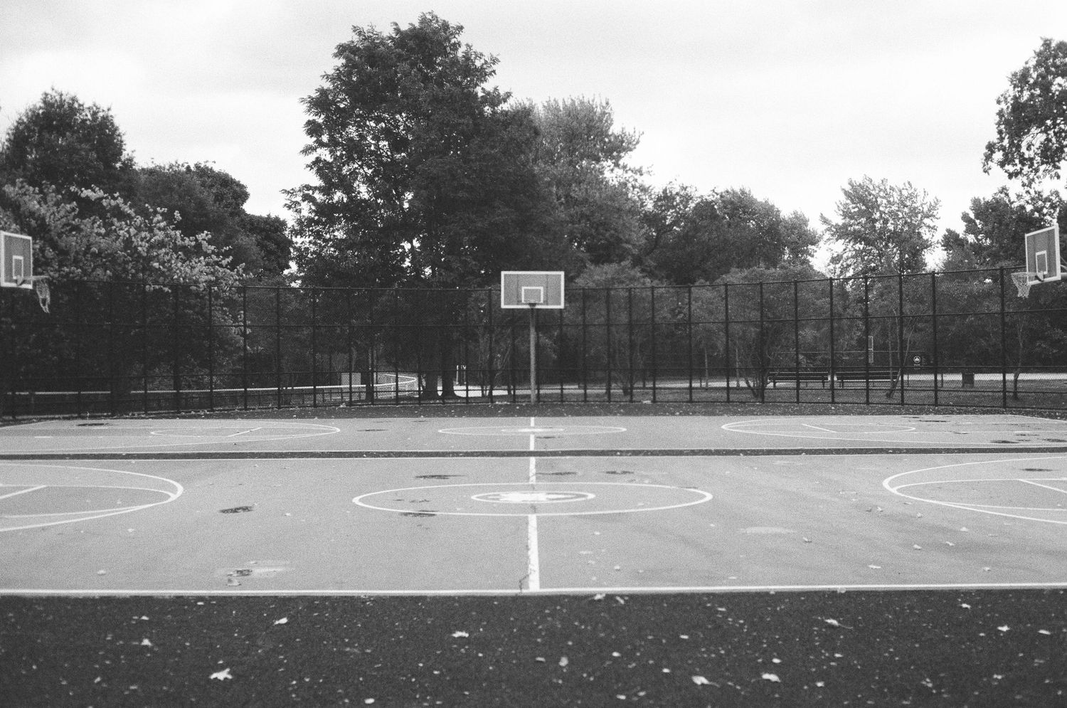 Black and white photo of an empty outdoor basketball court with two hoops and surrounding trees.
