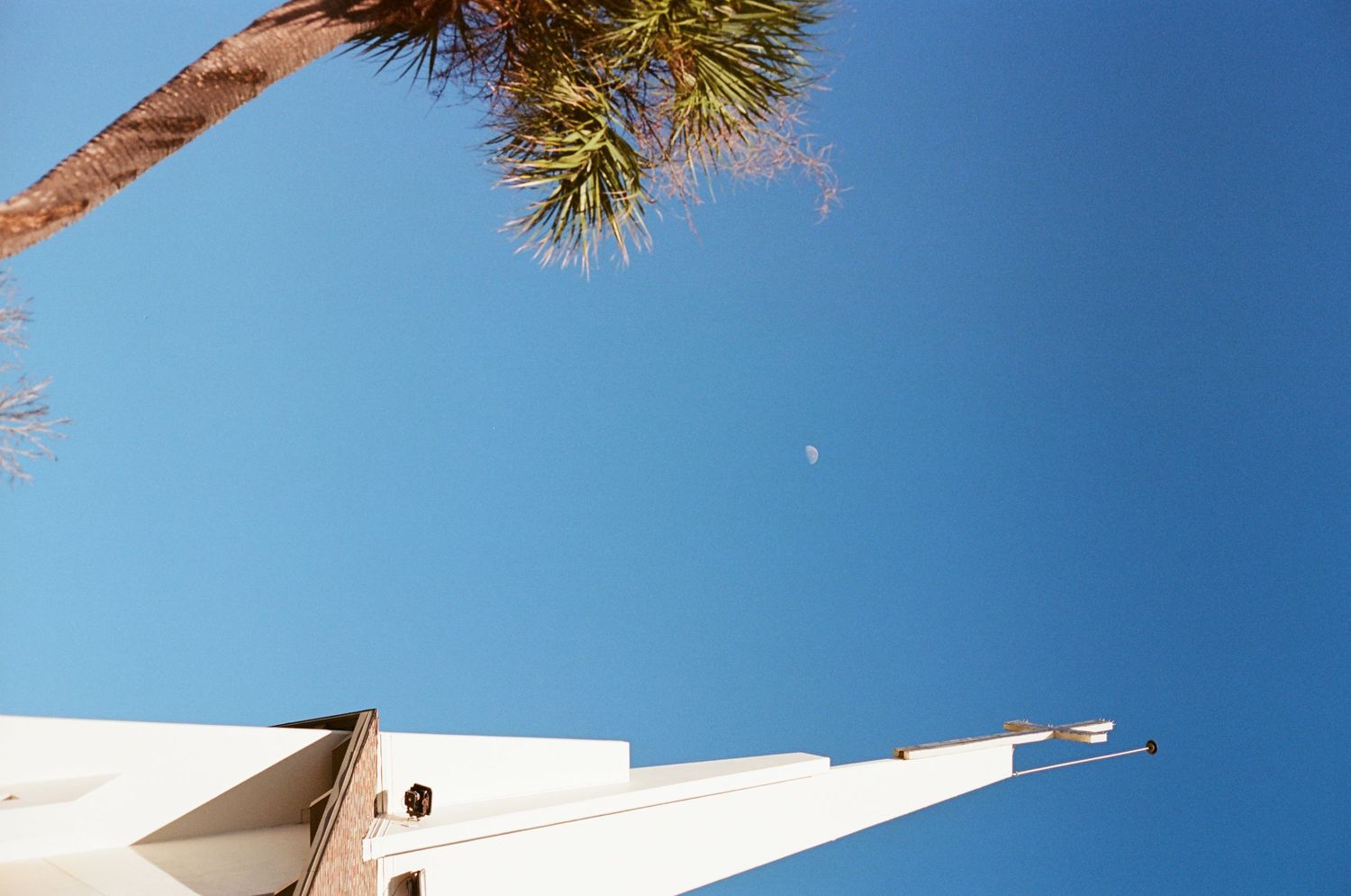 Low angle view of a white church steeple and palm tree against a clear blue sky with moon.