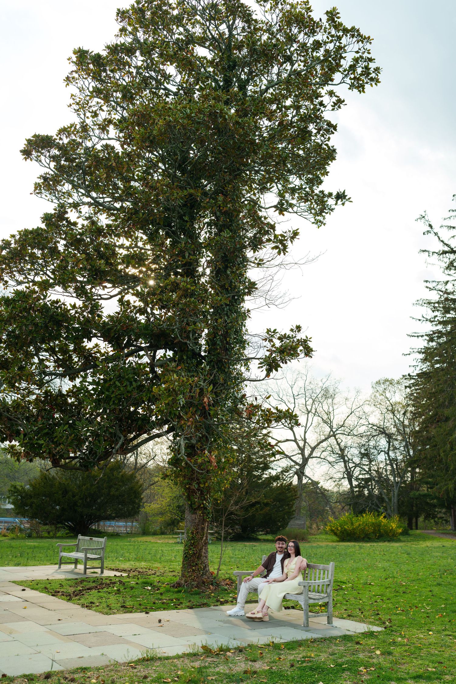 Couple sitting on a bench beneath a tall magnolia tree in a spacious green park.