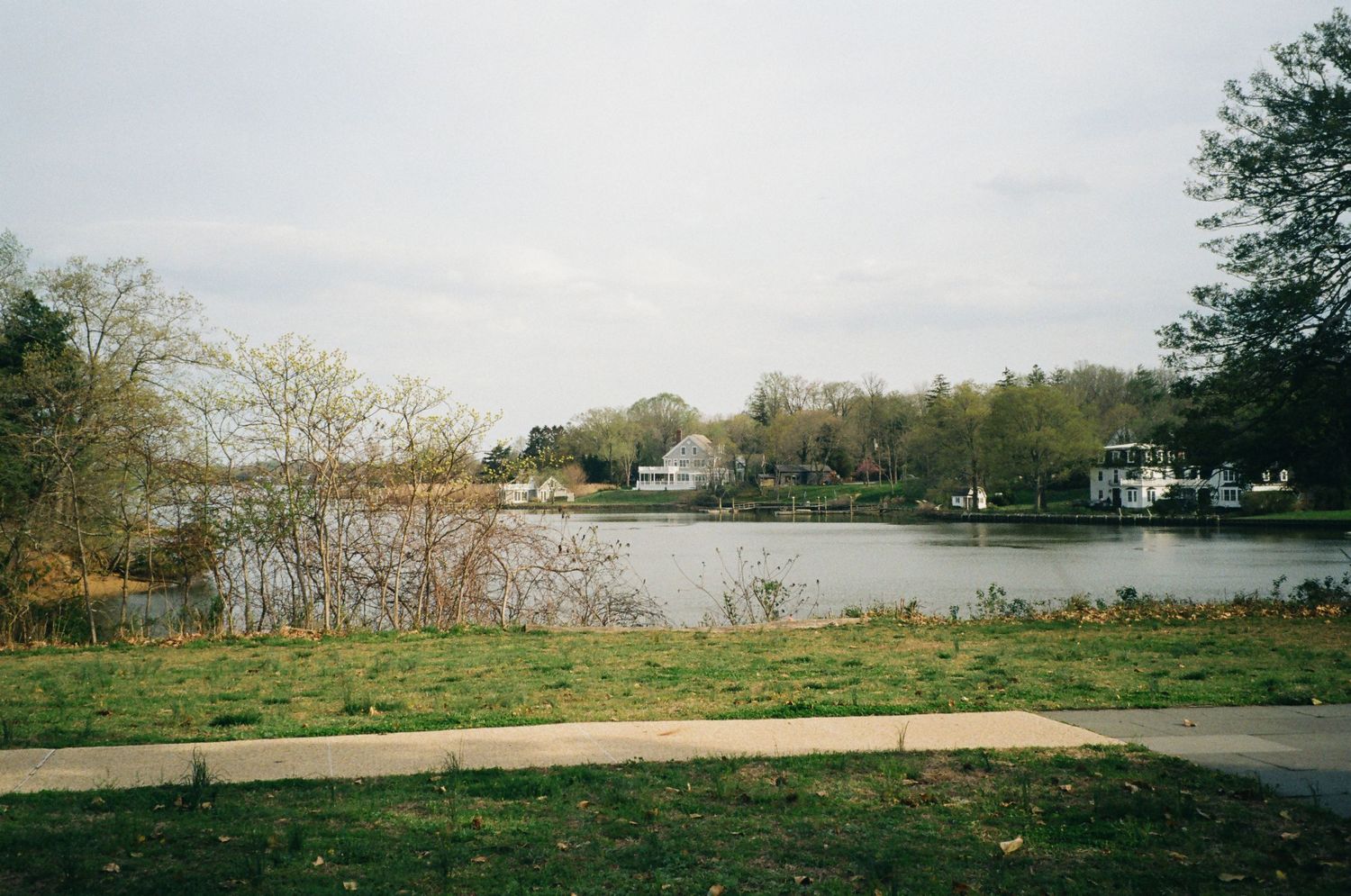 Peaceful lake scene with lush trees and houses reflected on calm water under a cloudy sky.