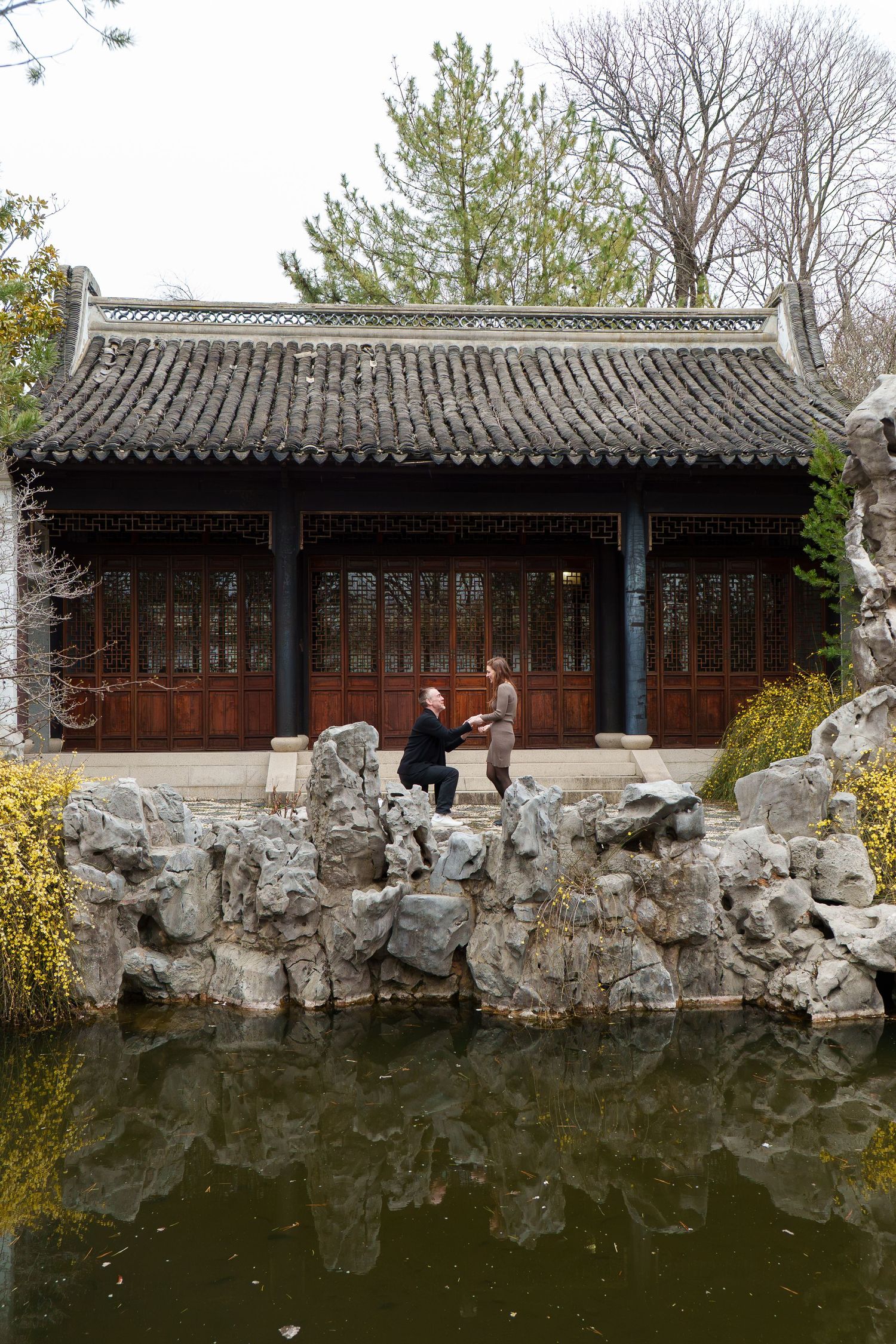 Romantic marriage proposal at a traditional Chinese garden pavilion beside a tranquil reflective pond.