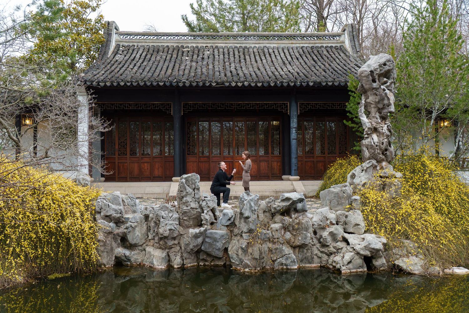 Couple exploring ornamental rocks beside a tranquil pond at a Chinese garden pavilion.