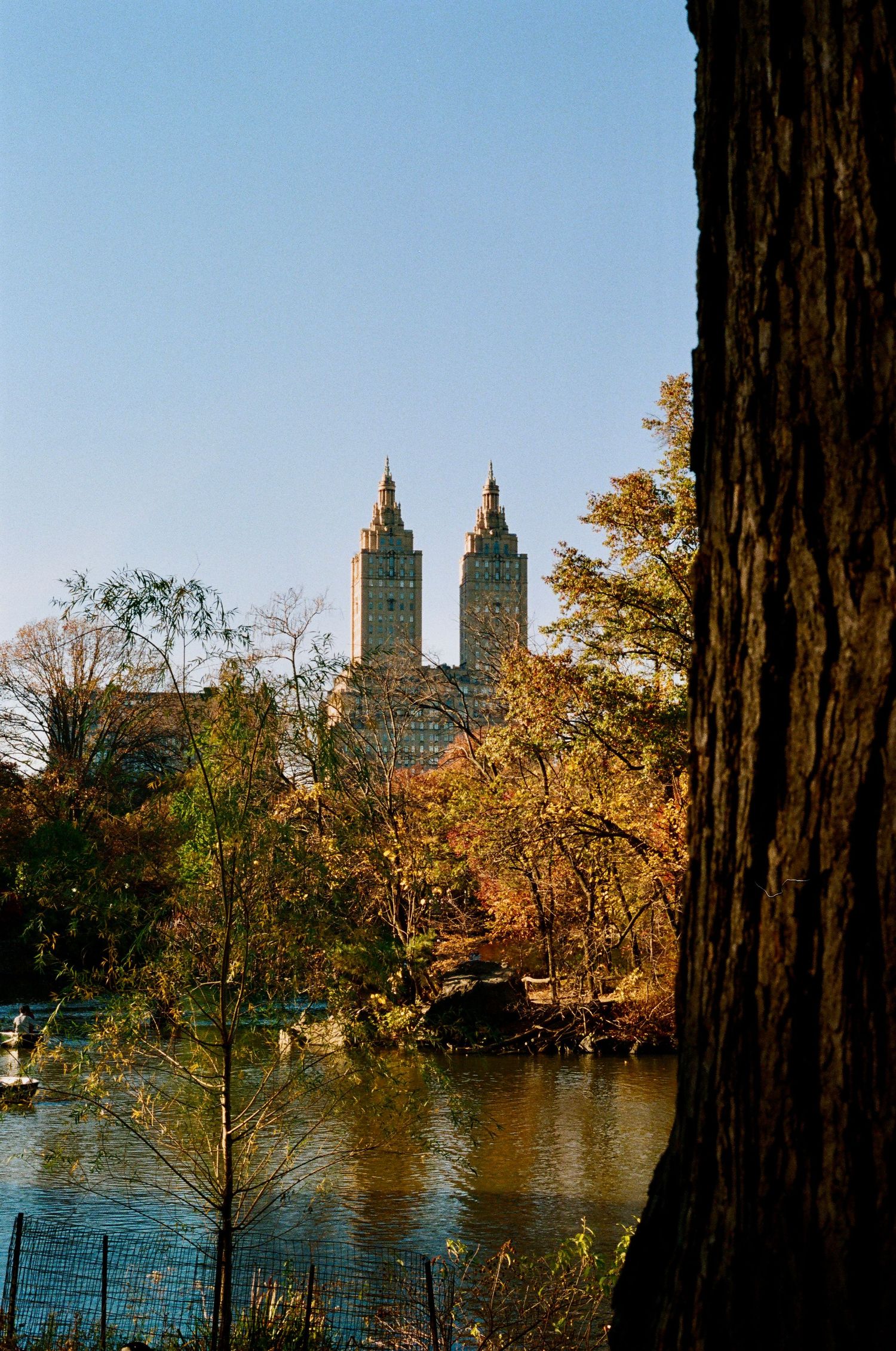 Twin towers of San Remo building visible through autumn trees across Central Park lake.