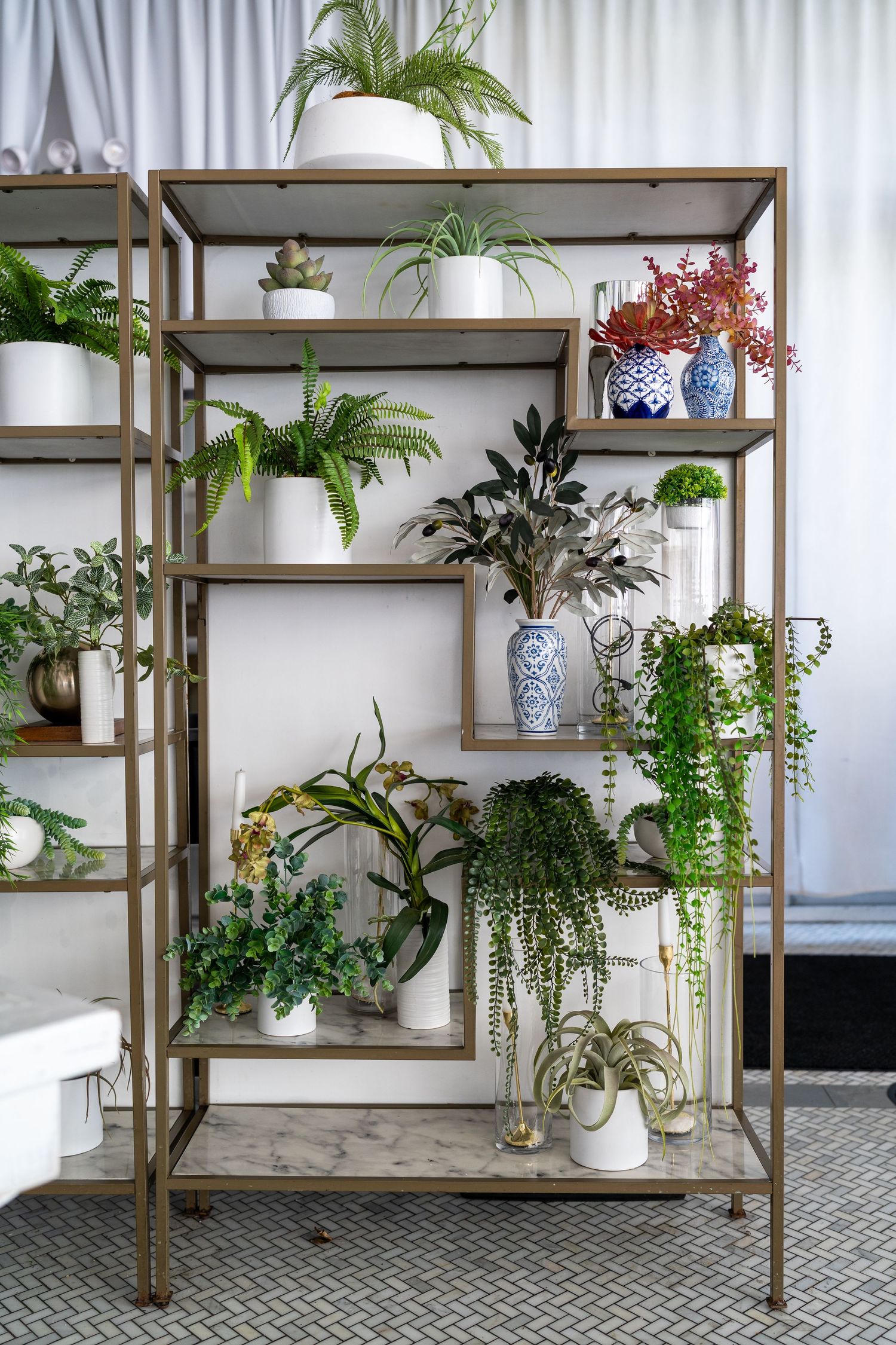 Gold metal shelving unit displaying various green houseplants in white and blue ceramic pots indoors.