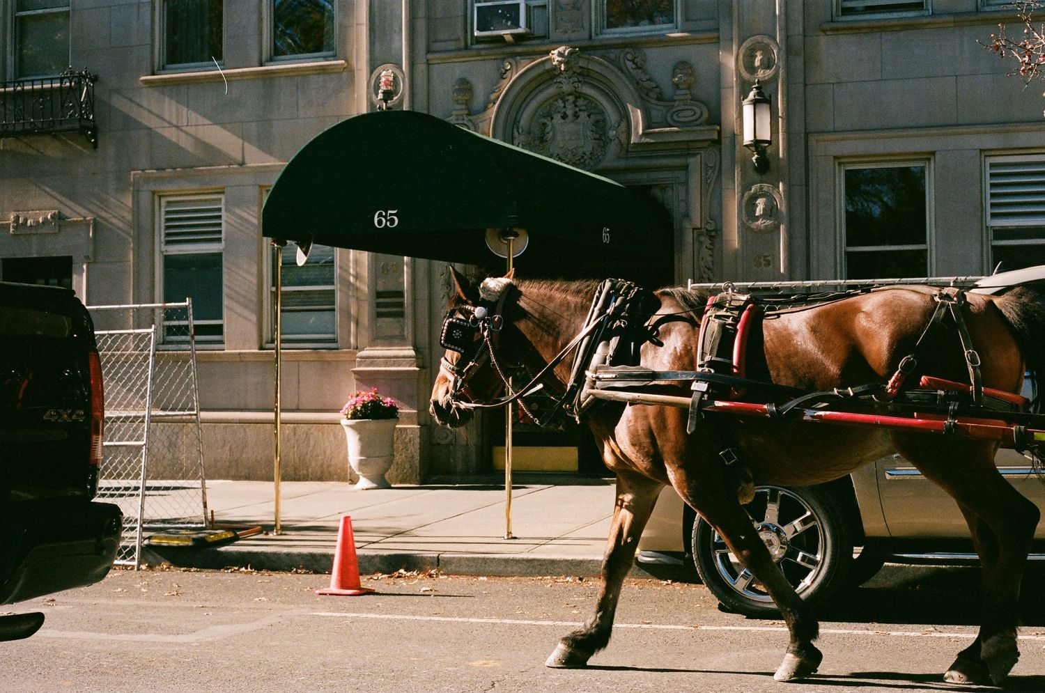 A brown horse pulling a carriage stands on a sunny New York City sidewalk near a traffic cone.