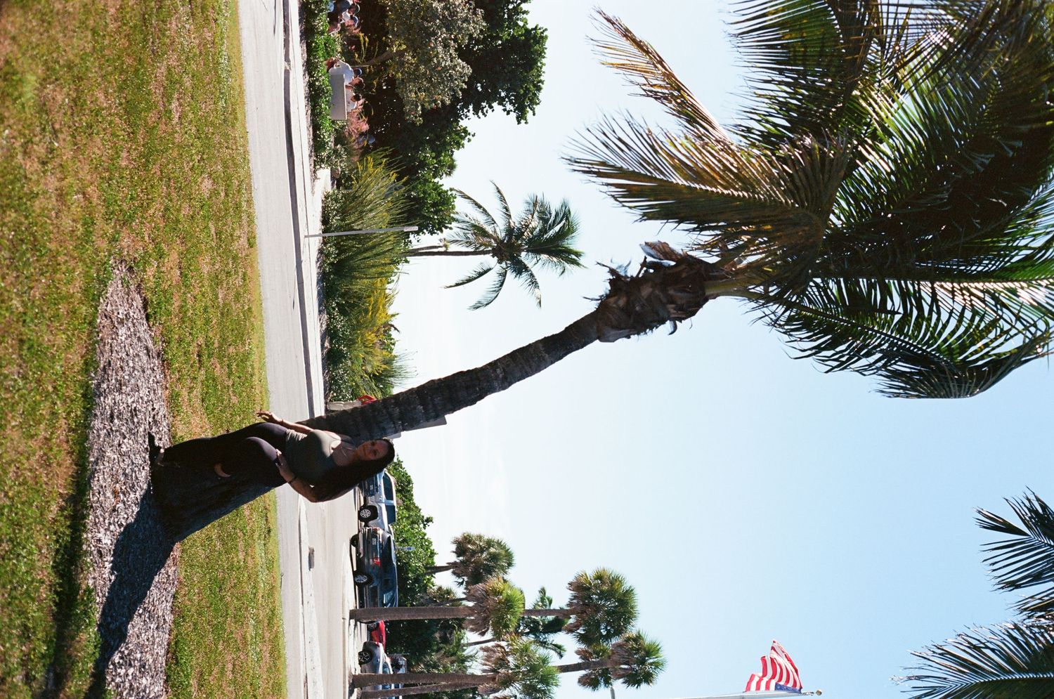 Person standing beside a leaning palm tree in a tropical park with an American flag in background.