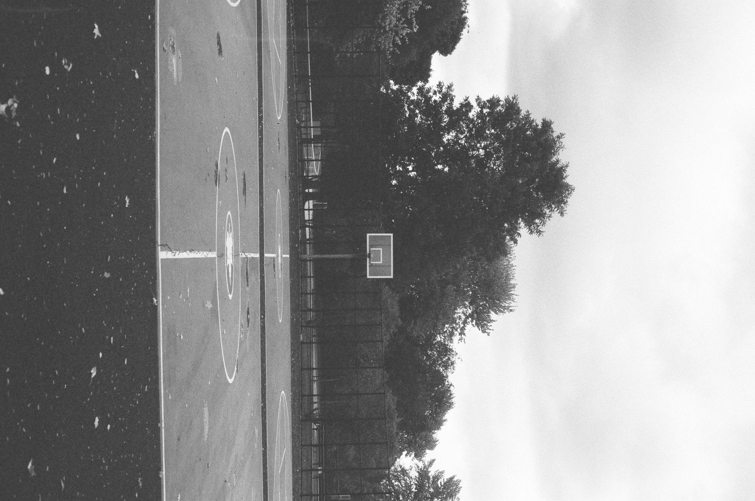 Black and white photo of an empty outdoor basketball court with trees and overcast sky.