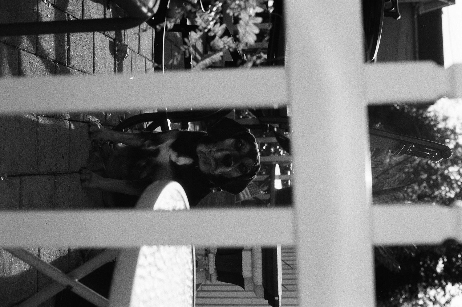Black and white image of a person visible through white porch railings on a residential porch.