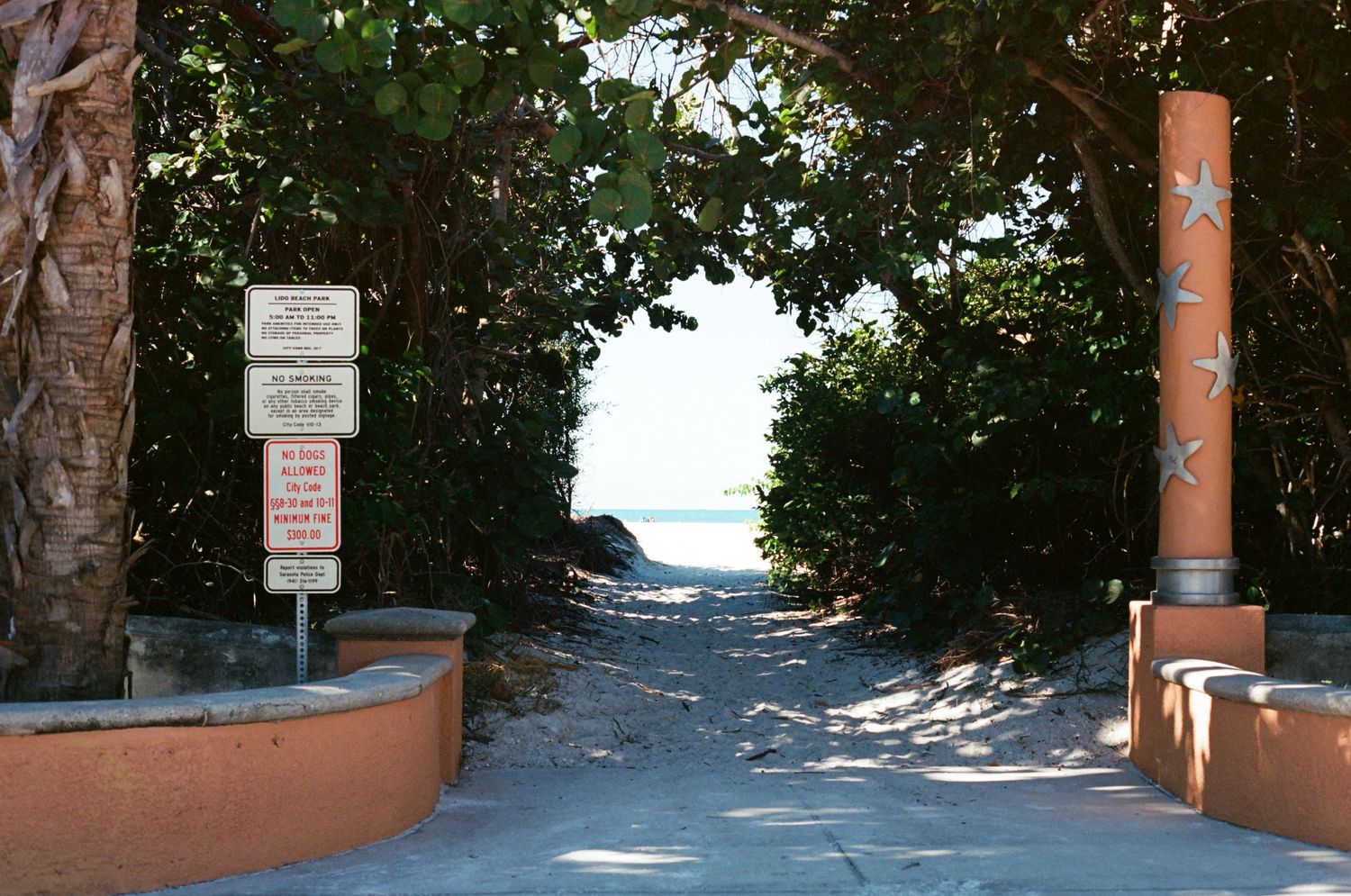 Sandy beach access path flanked by trees and starfish-decorated pillars with posted signs near ocean.