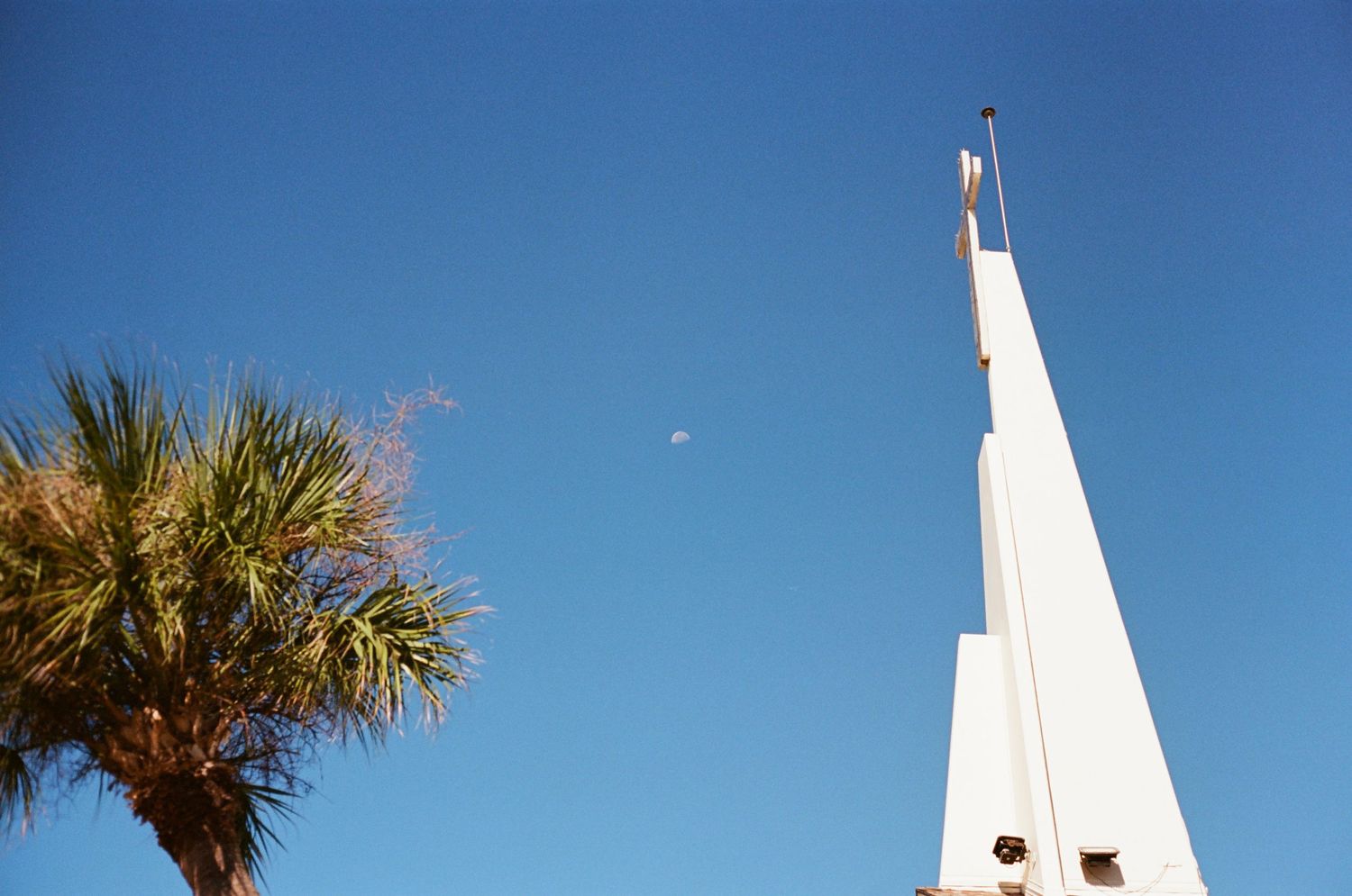 White church steeple with palm tree and half moon visible against bright blue sky.