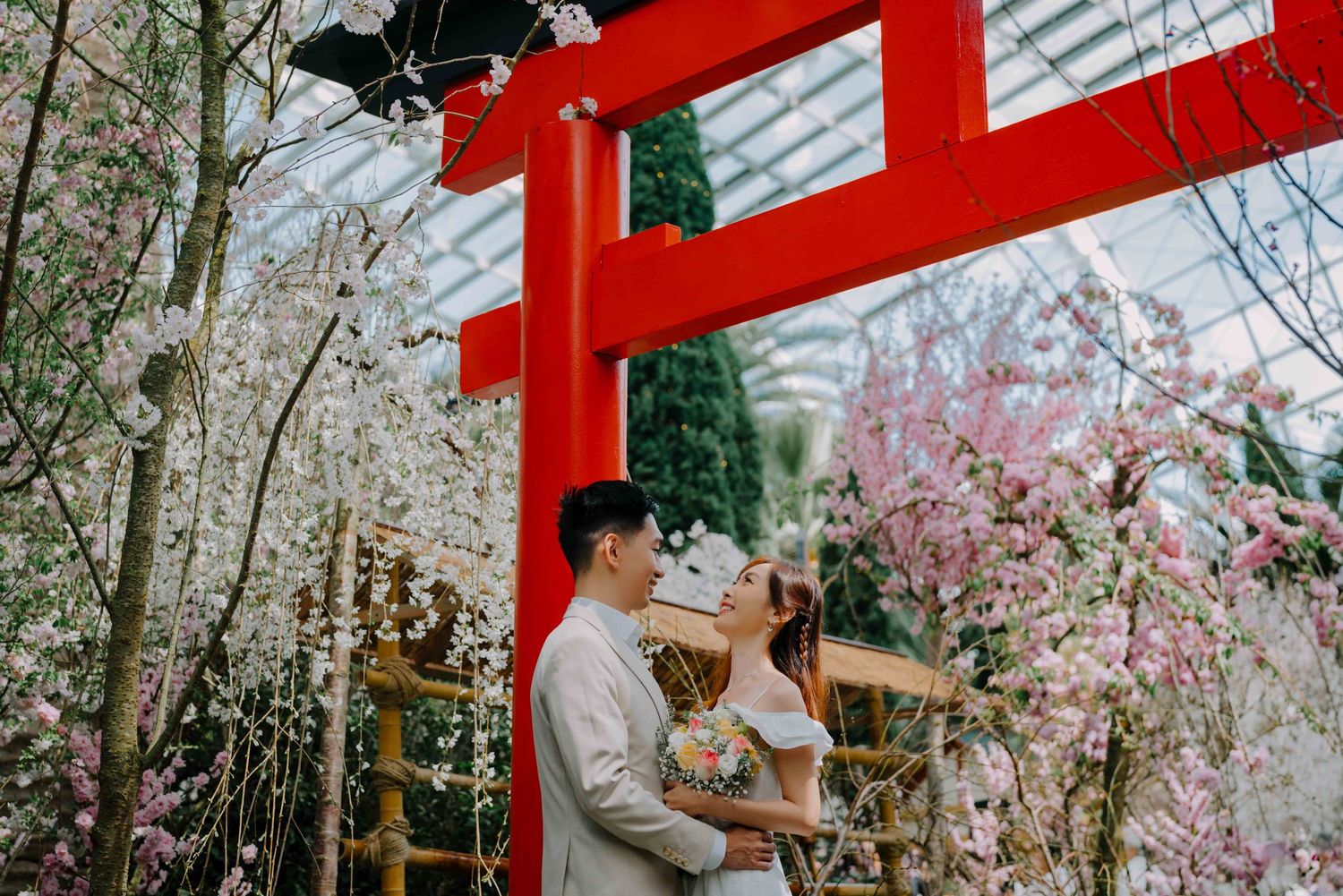 Prewedding photoshoot at the Sakura floral display at the Flower Dome of Gardens by the Bay
