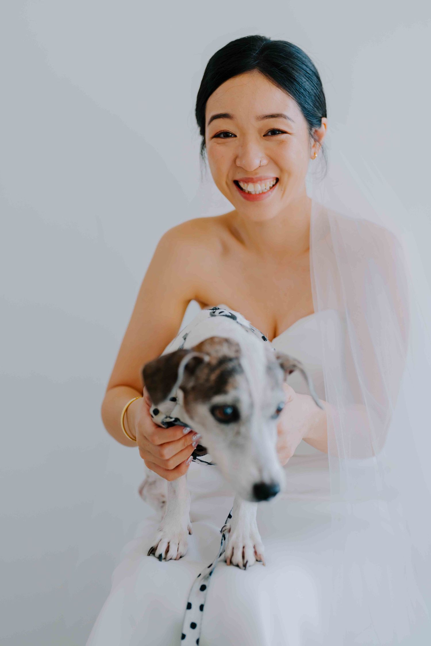 bride and her jack russell pet