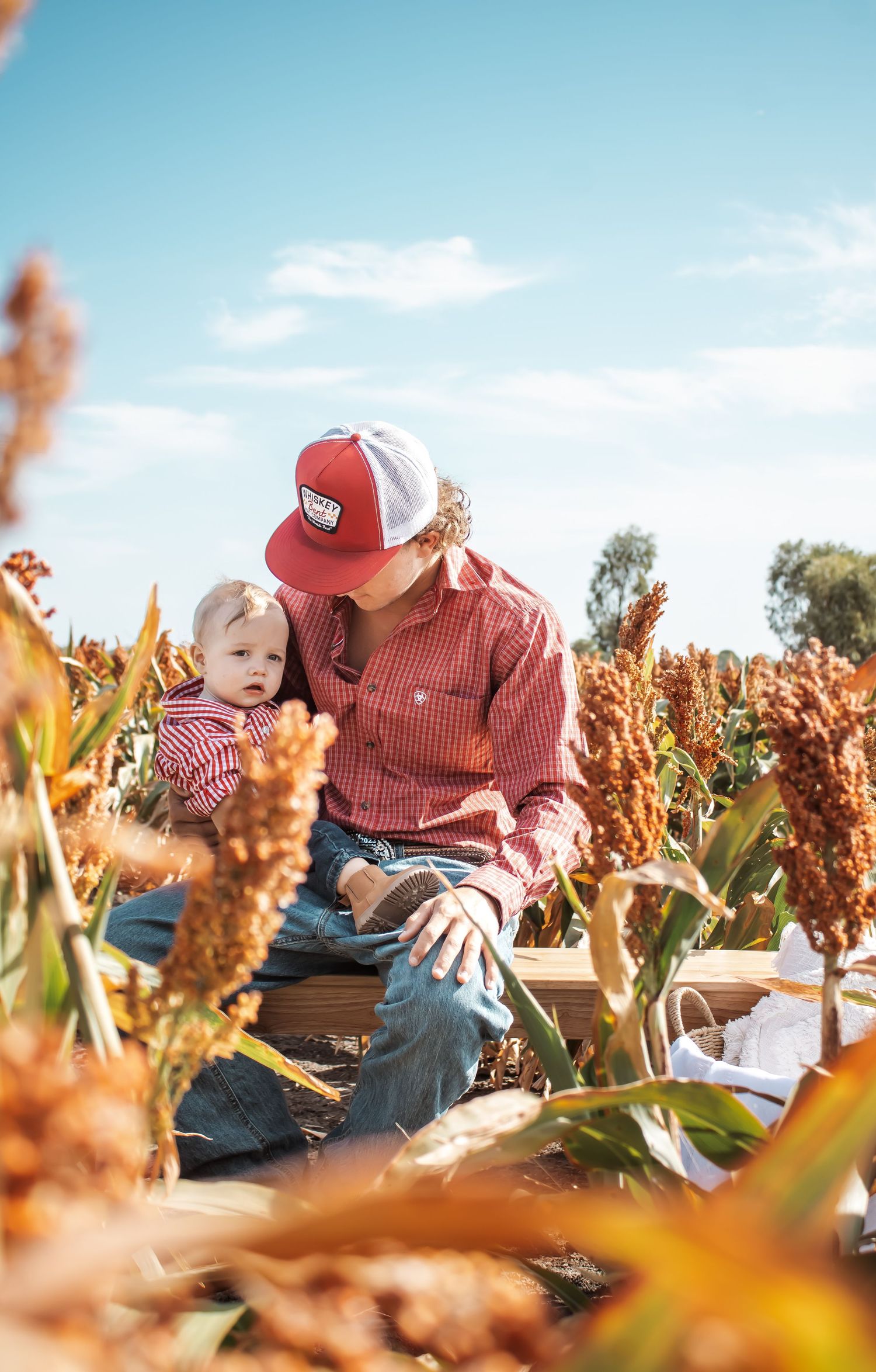 Two people sitting together in a golden autumn cornfield on a sunny day with blue skies.