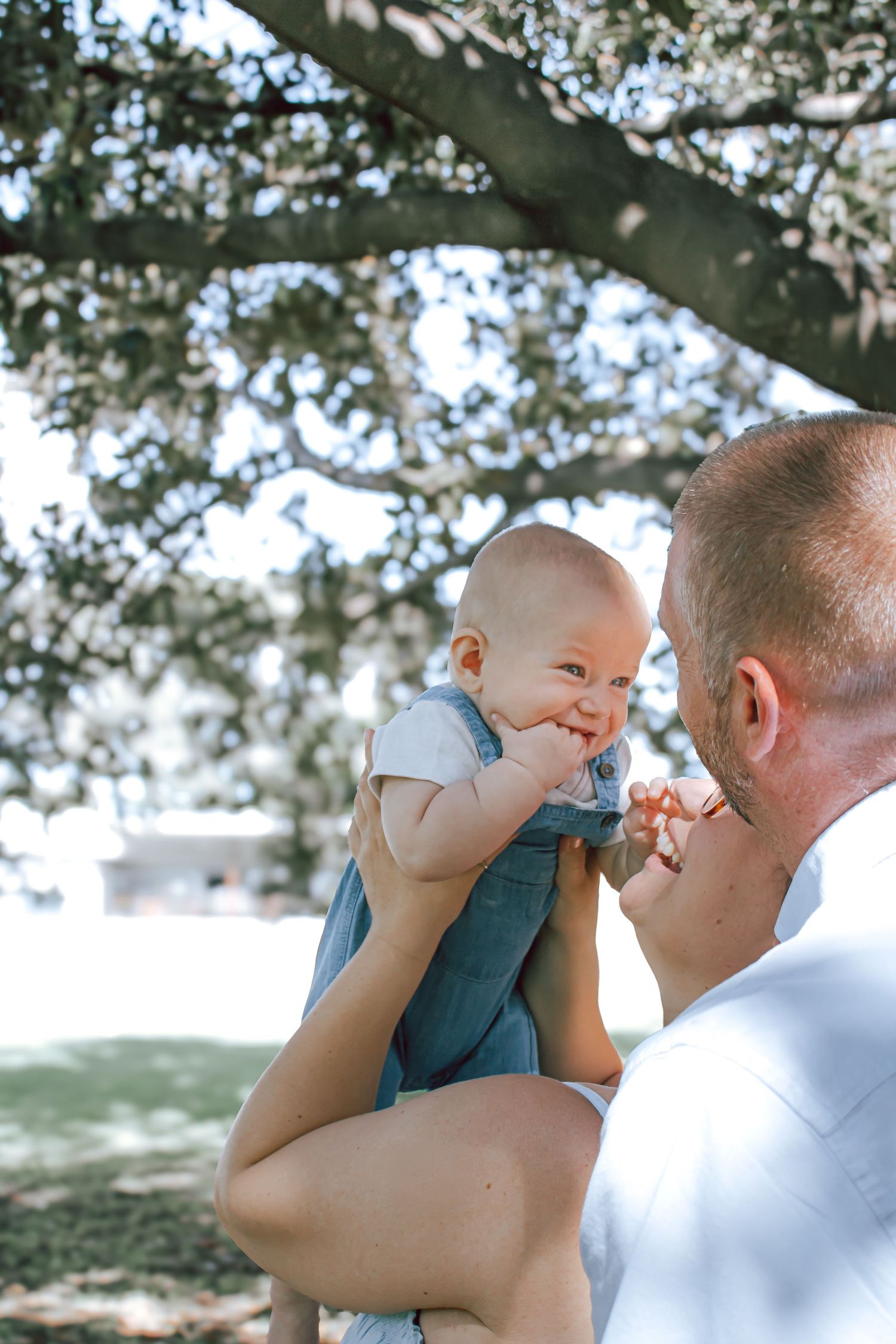 Parent and baby share tender moments outdoors under blooming trees in a series of candid photos.