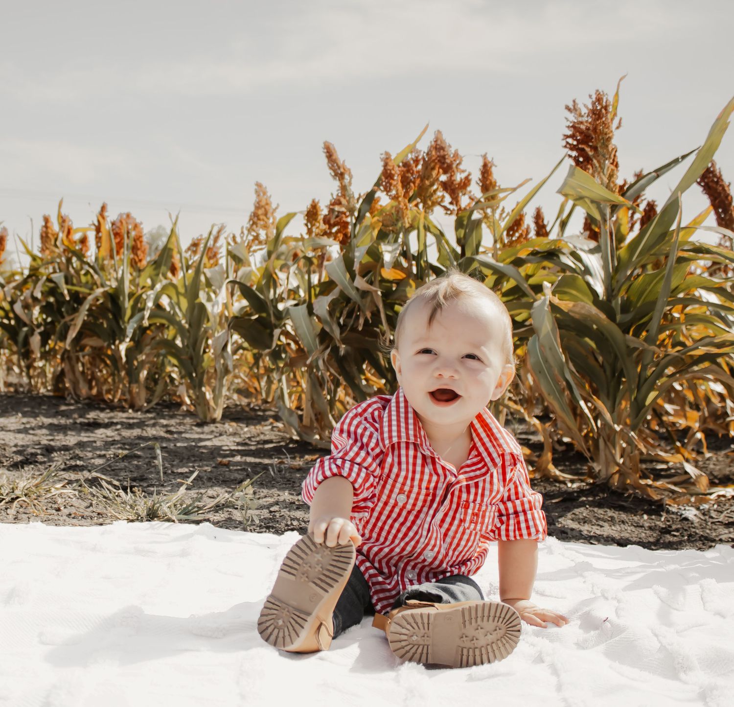 Small child in red and white checkered shirt crawls and plays on white surface near tropical plants.