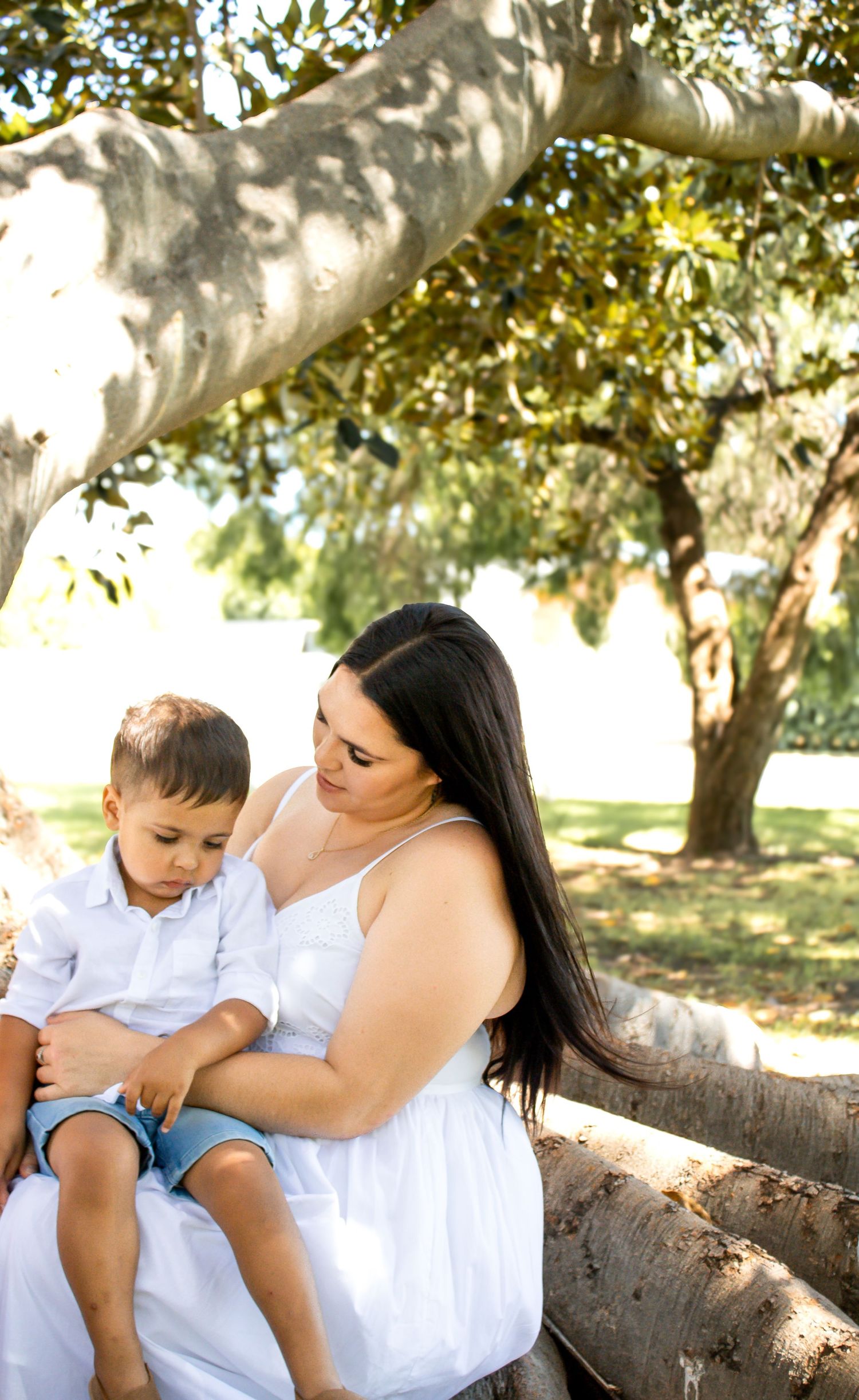 A mother and young son share tender moments while sitting on a tree branch in a sun-dappled outdoor setting.