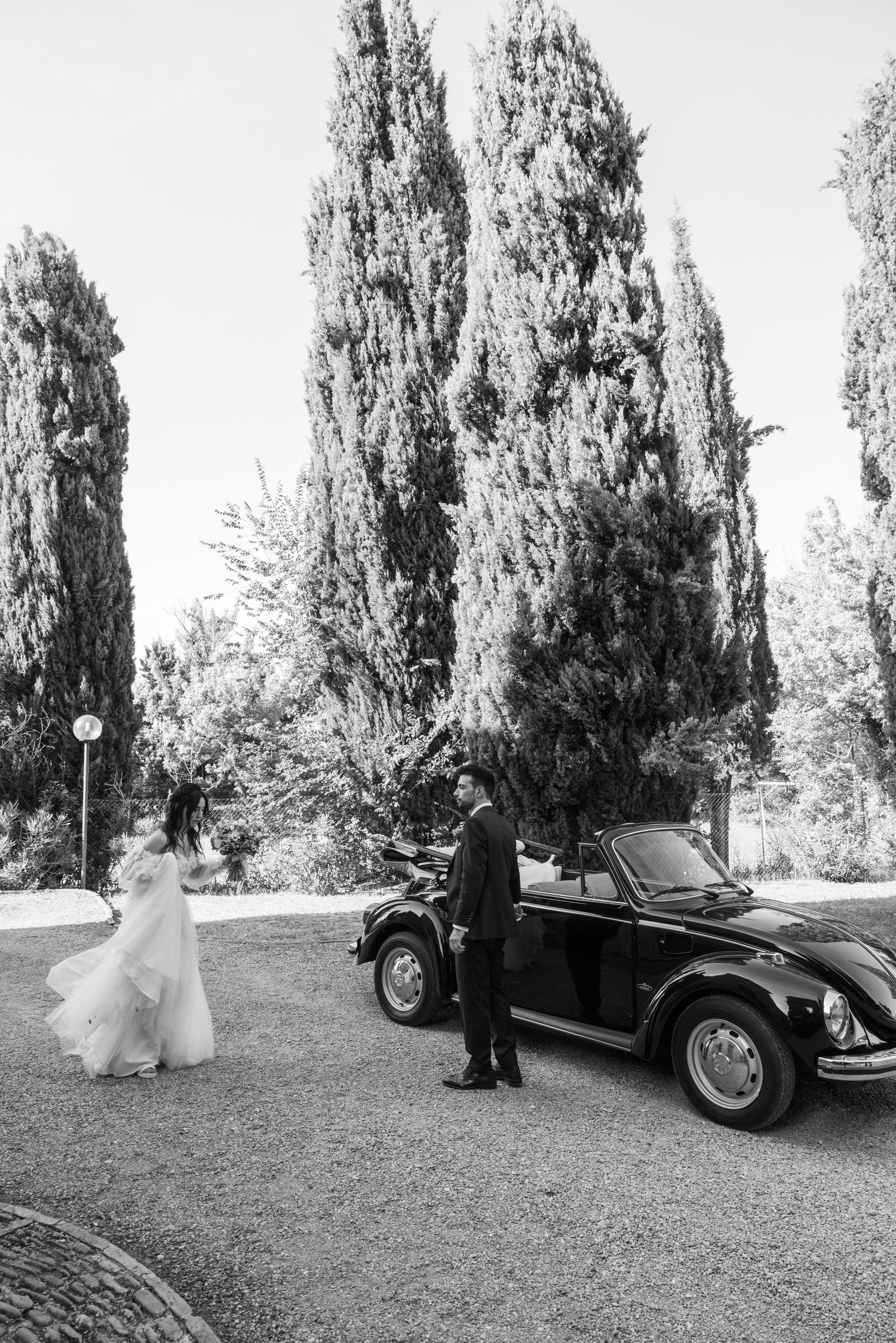Classic black and white photo of a vintage car at a wedding with tall cypress trees.