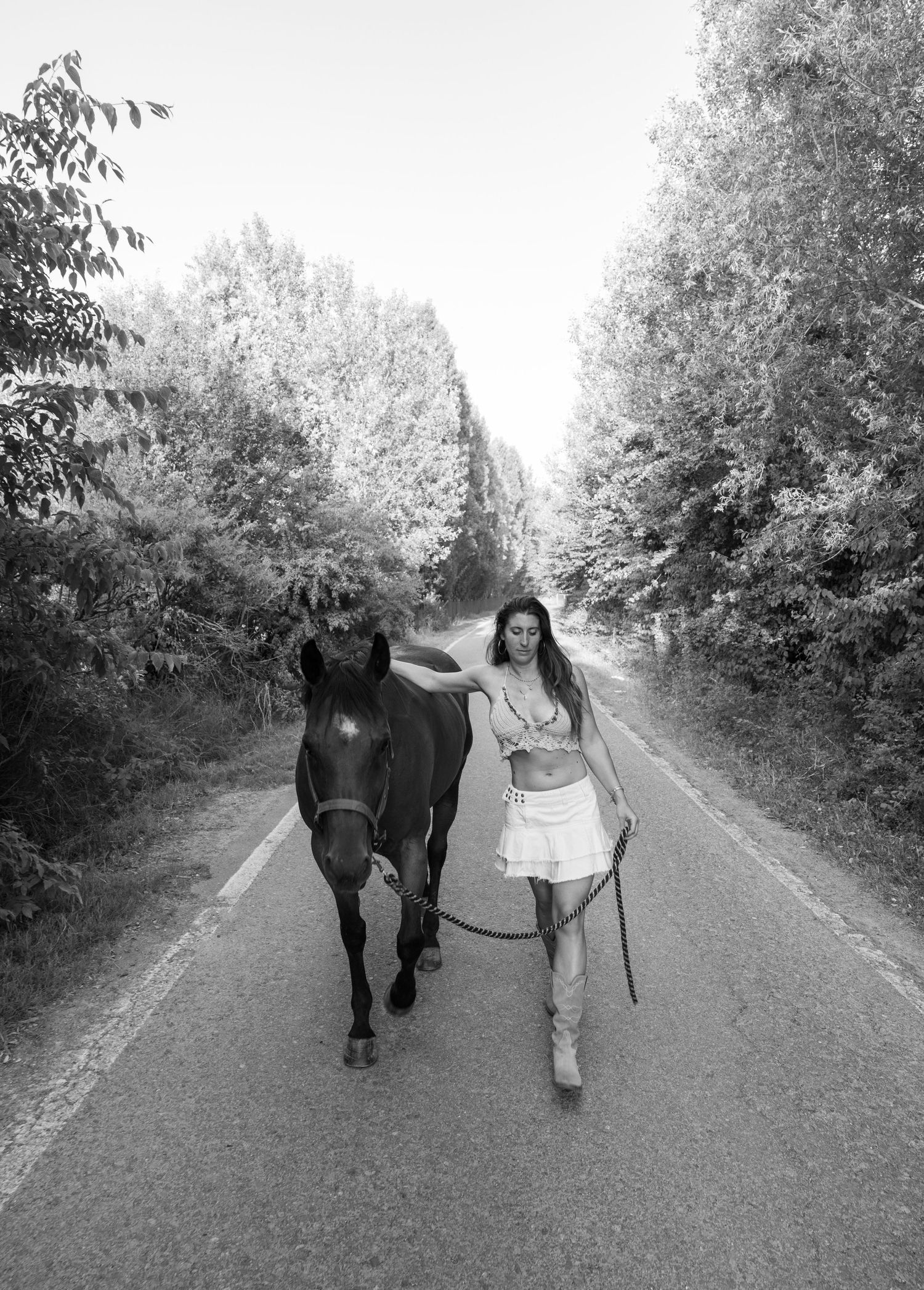 Black and white photo of someone walking a horse down a tree-lined path.