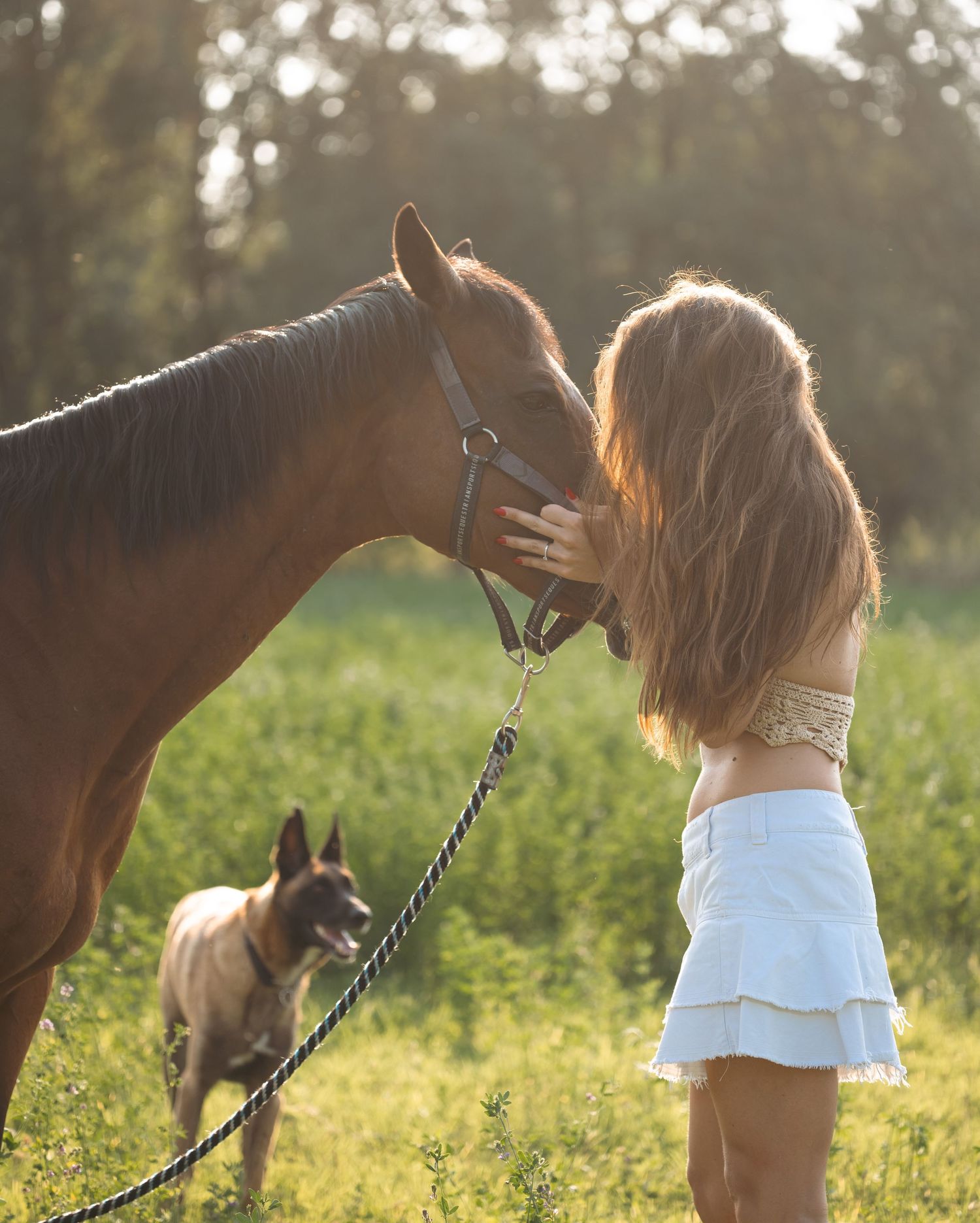 Horse and companion share a tender moment in a sunlit meadow while a dog watches in the background.