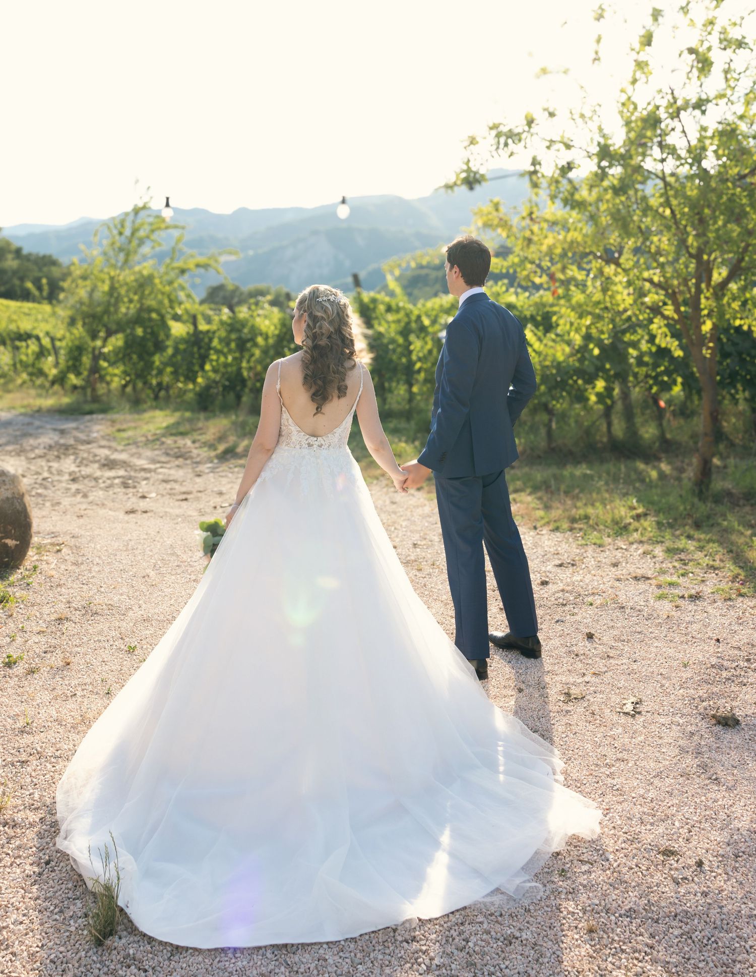 A couple in wedding attire walking through a scenic vineyard path at sunset.