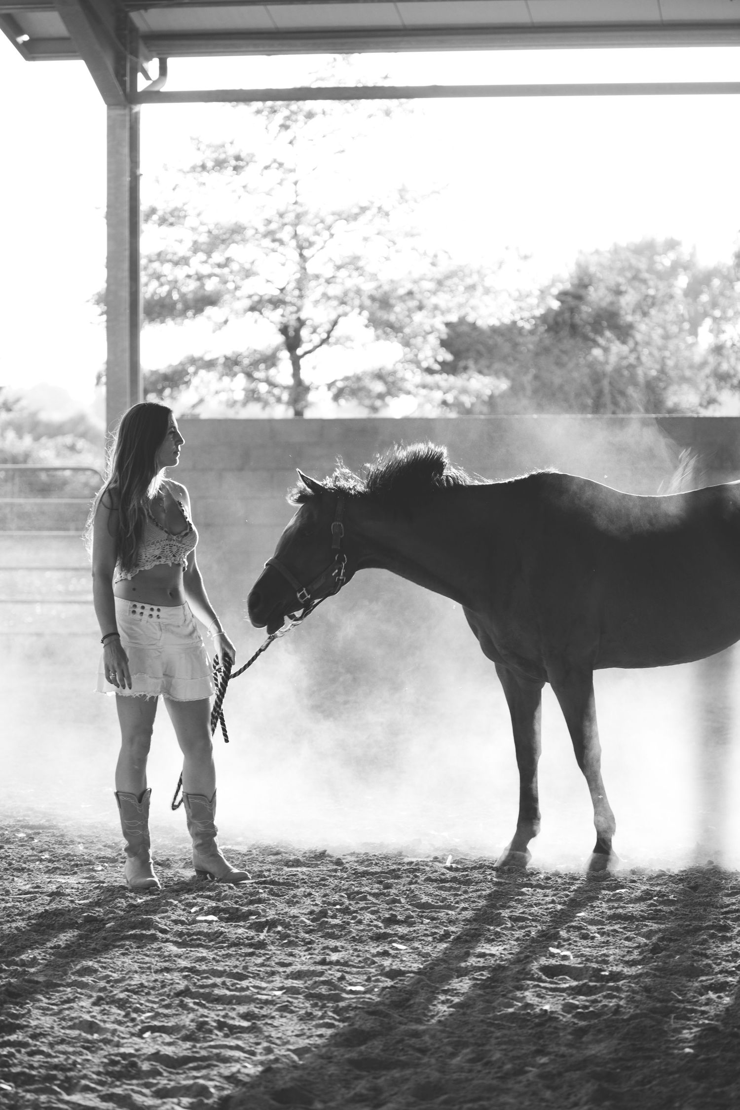 Silhouettes of horses and handlers in misty morning light at a riding arena.