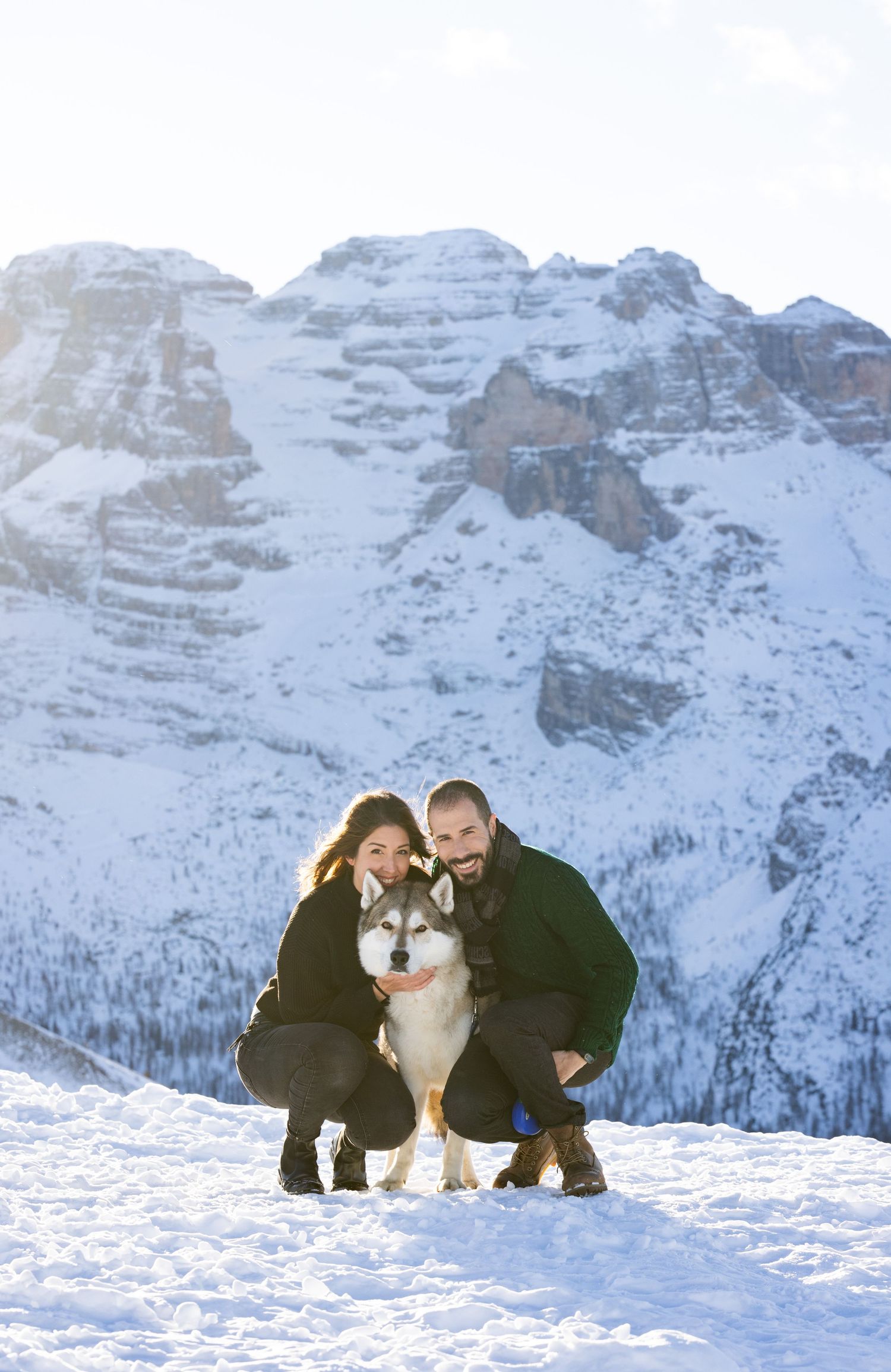 A fluffy Alaskan Malamute sits in snow with snowy mountain peaks in the background.