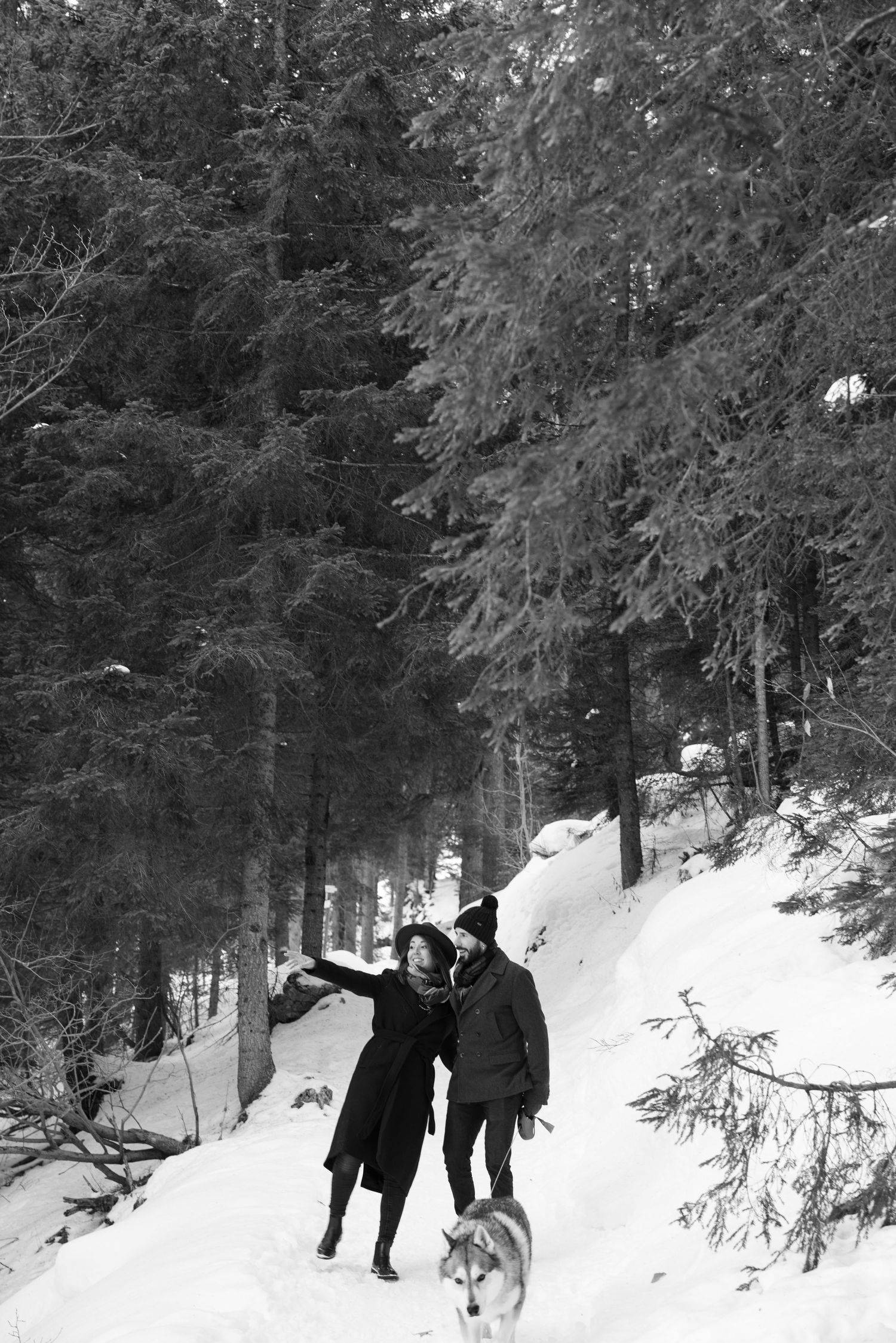 Group walking with a dog along a snow-covered forest path in winter.