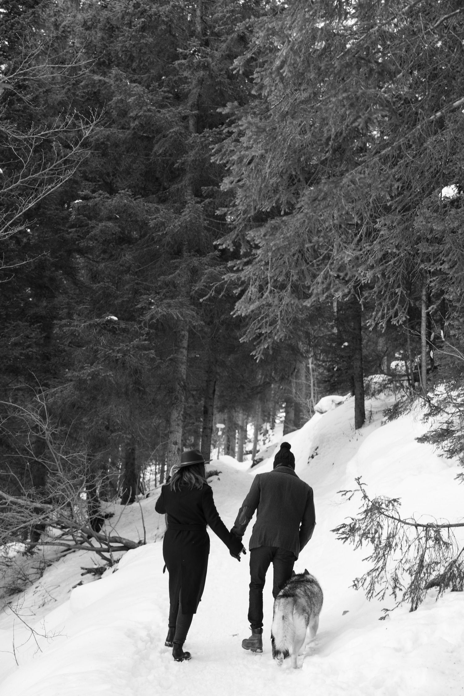People walking through a snowy forest trail with evergreen trees.