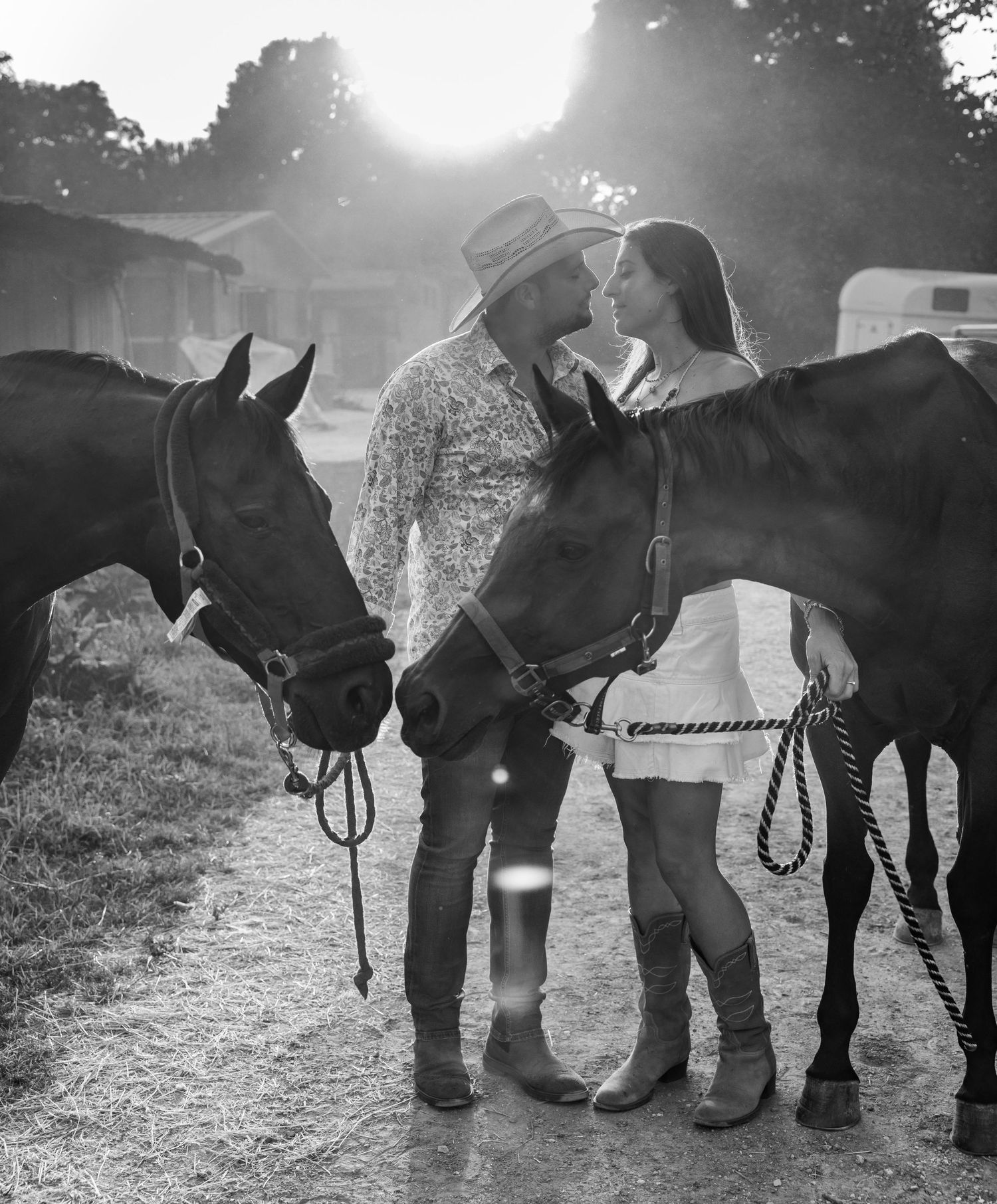 Black and white photo sequence of a horse being groomed outdoors at sunset.