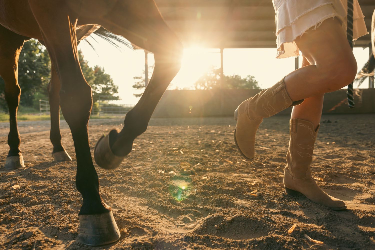 Legs and feet walking across sandy ground in golden sunlight.