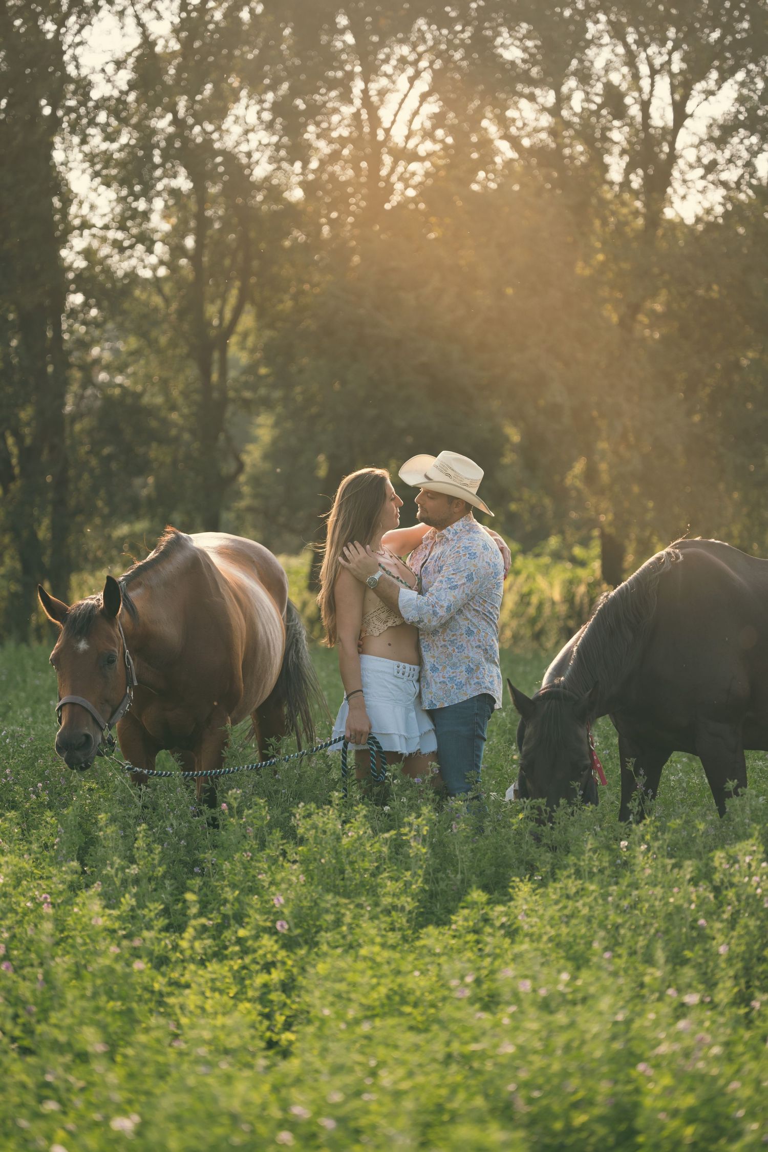 Horses grazing in a sunlit field with their handlers nearby.