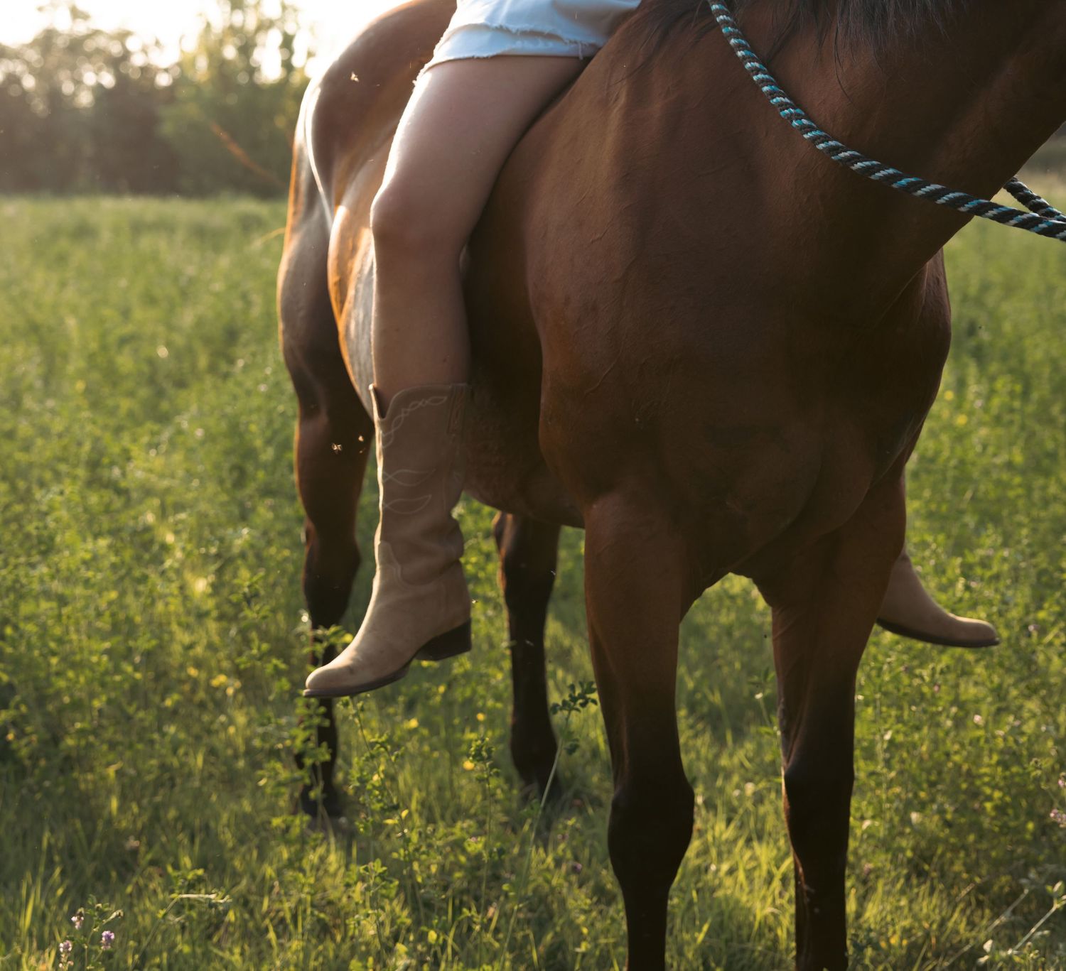 Close-up view of rider's legs on brown horse in sunlit summer meadow.