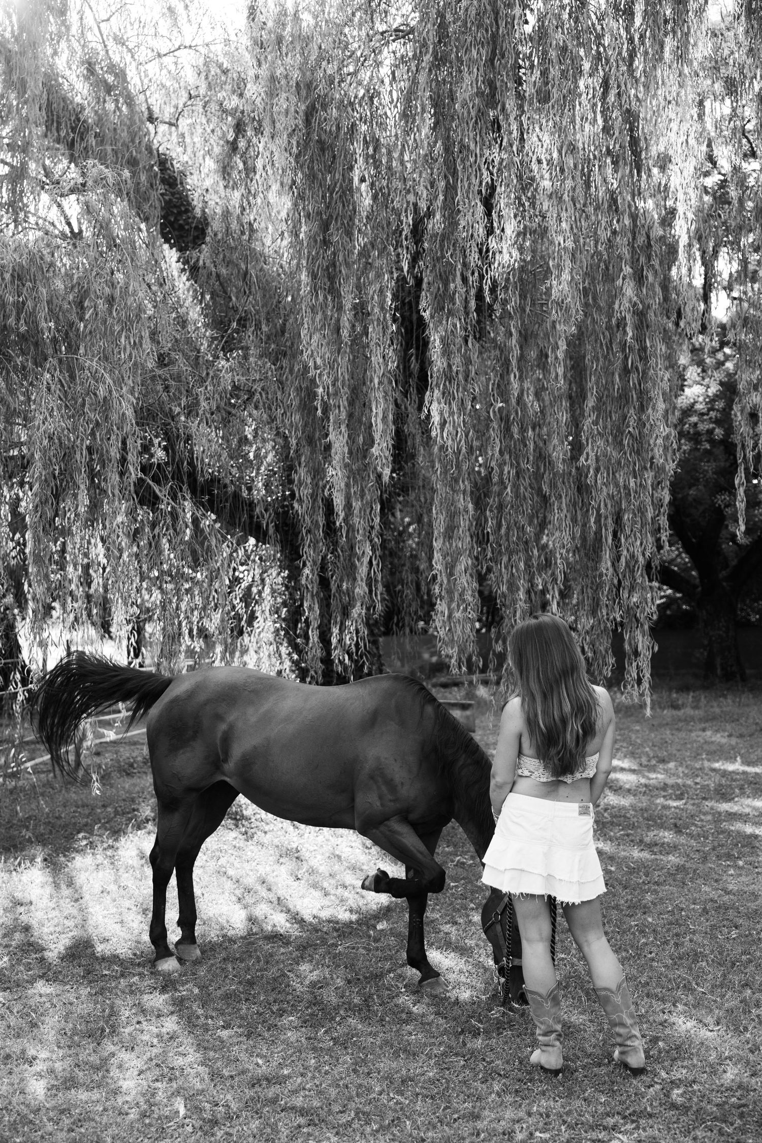 Black and white photo sequence of a horse and rider bonding beneath weeping willow trees.