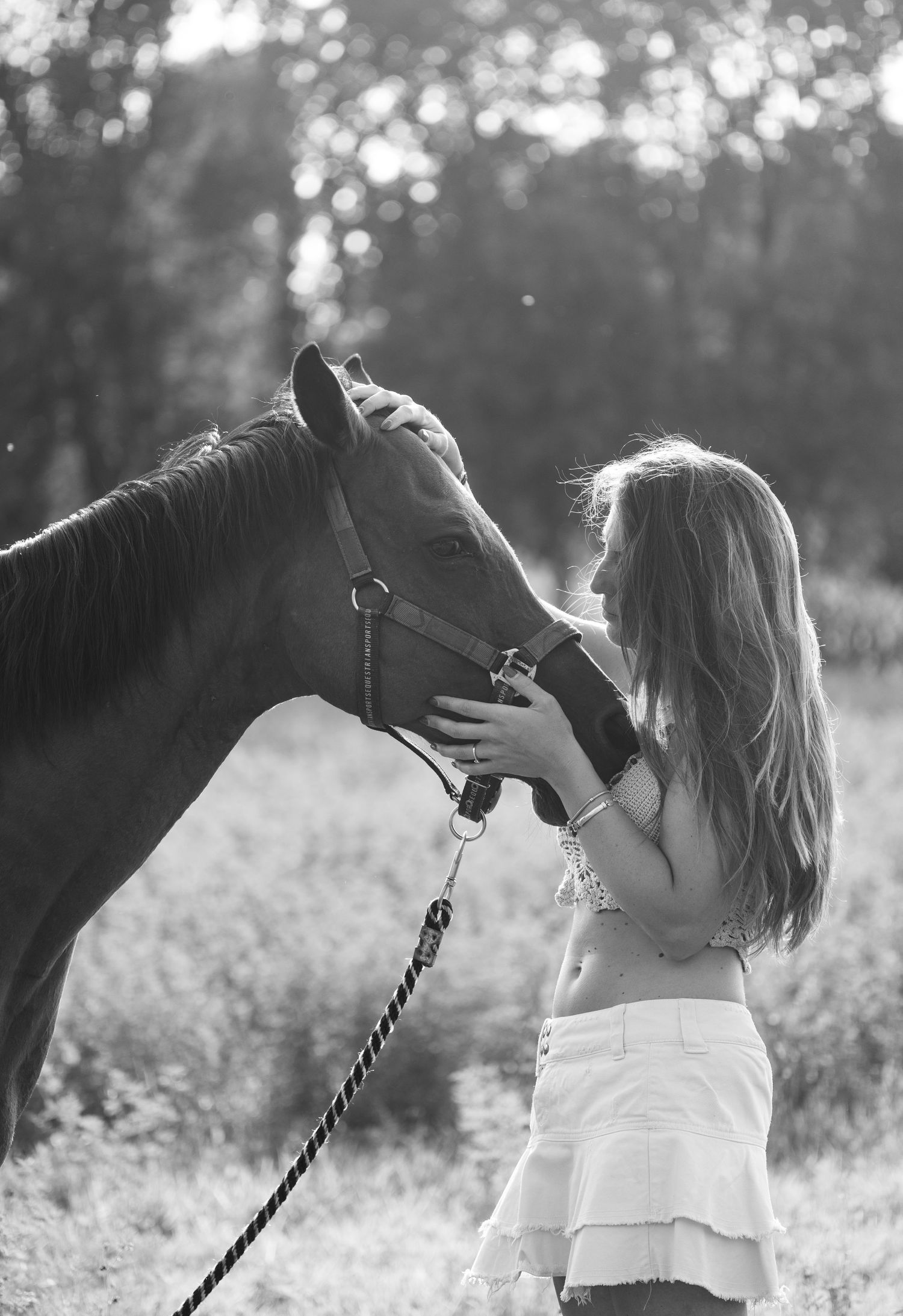 Intimate black and white portrait of a horse and companion sharing a gentle moment at sunset.
