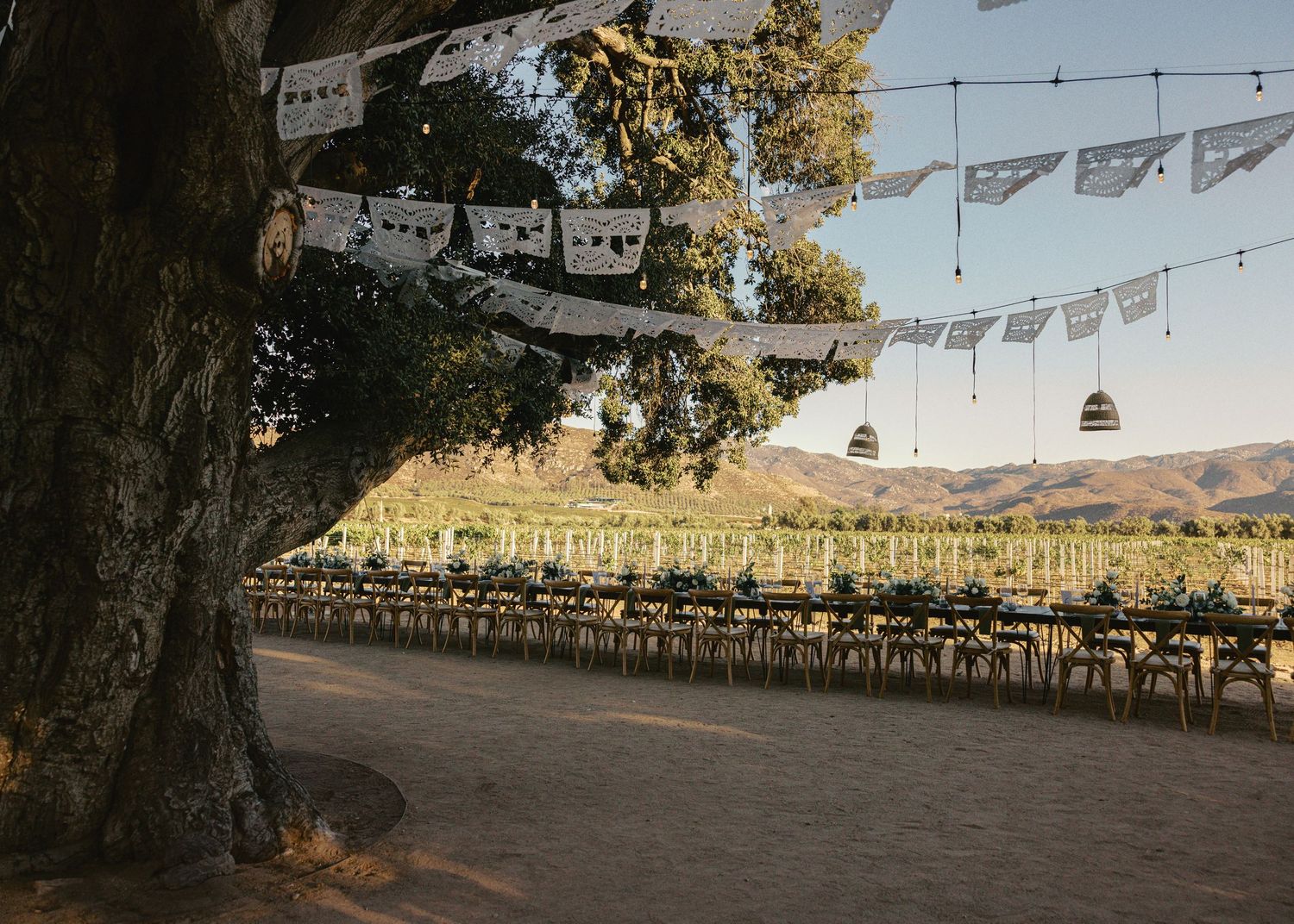 Outdoor wedding reception setup with string lights and rustic tables arranged in long rows under trees at sunset.