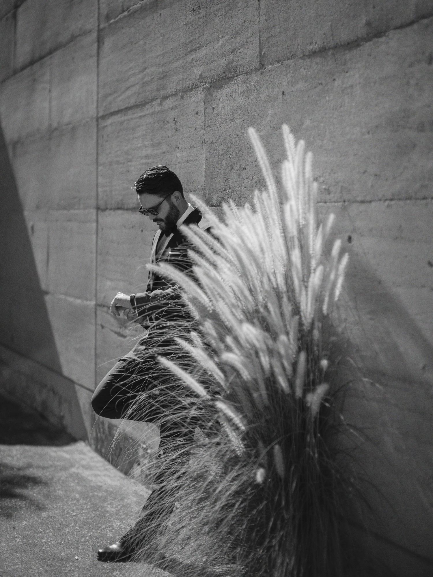 Artistic black and white photograph showing a silhouette against a wall with dramatic pampas grass in the foreground.