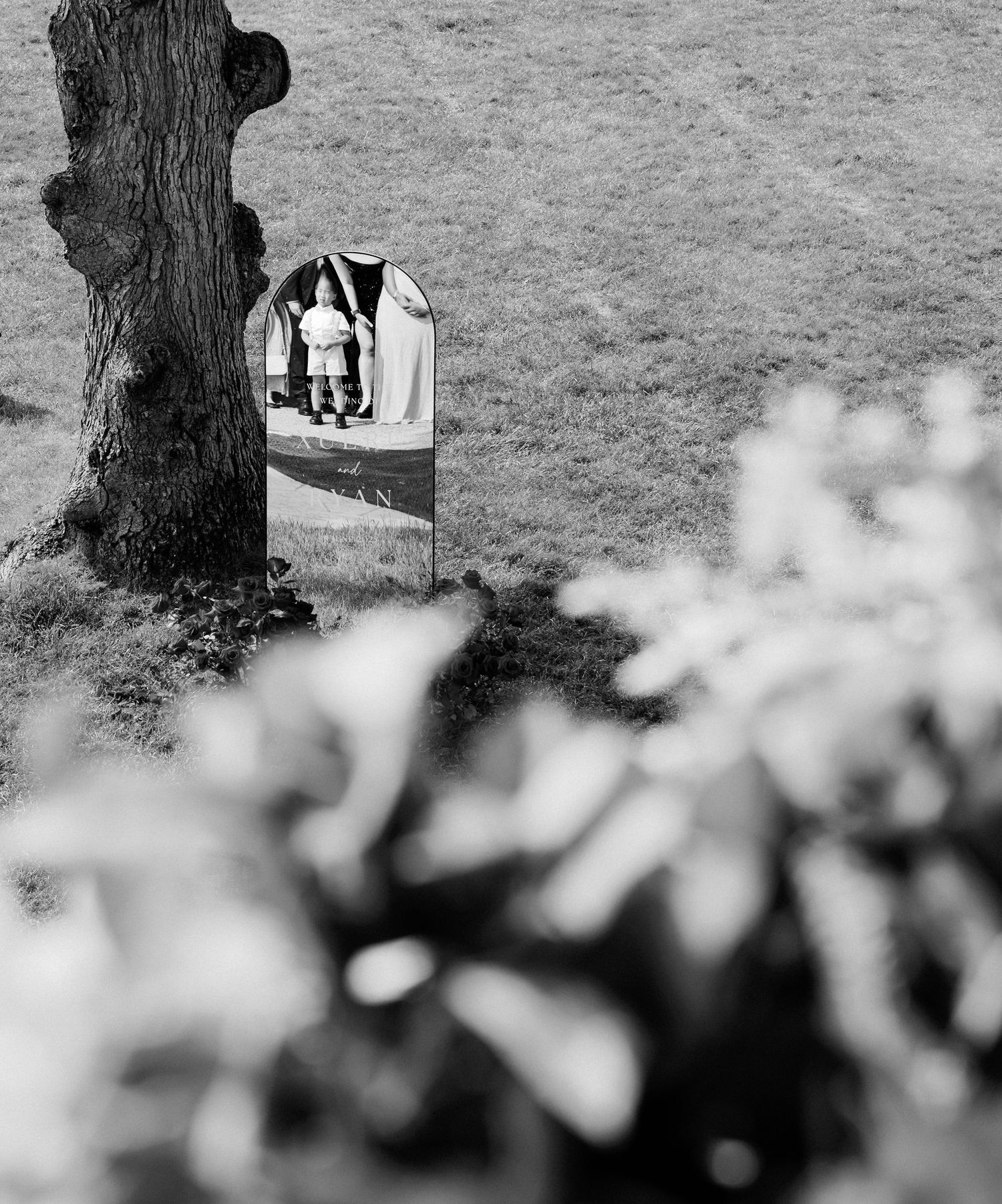 Black and white artistic photograph showing a tree trunk with blurred foreground elements creating depth of field.