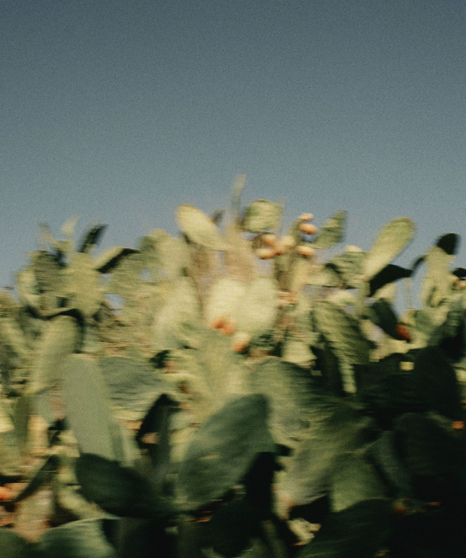 A blurred motion sequence showing green leaves and vegetation moving rapidly against a gray sky background.