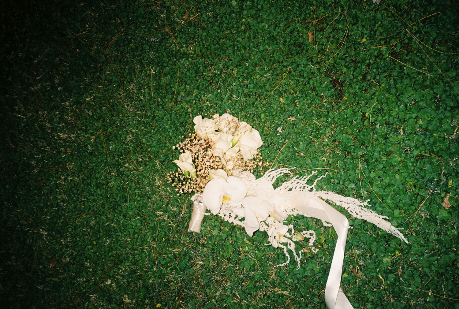 A series of seven small white mushrooms growing in lush green grass, photographed in sequence.