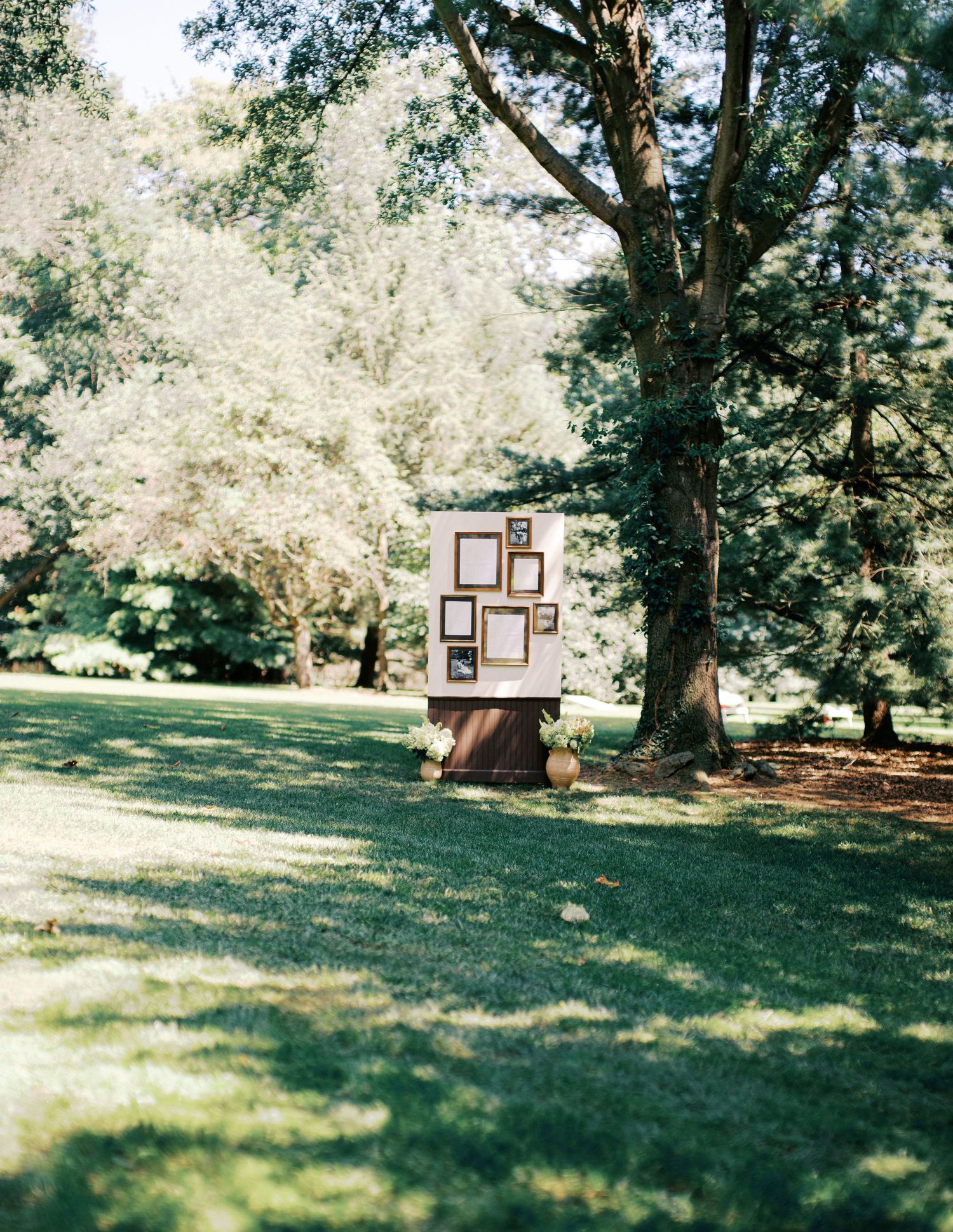 Empty grassy lawn with picture frames displayed between trees in natural outdoor setting.
