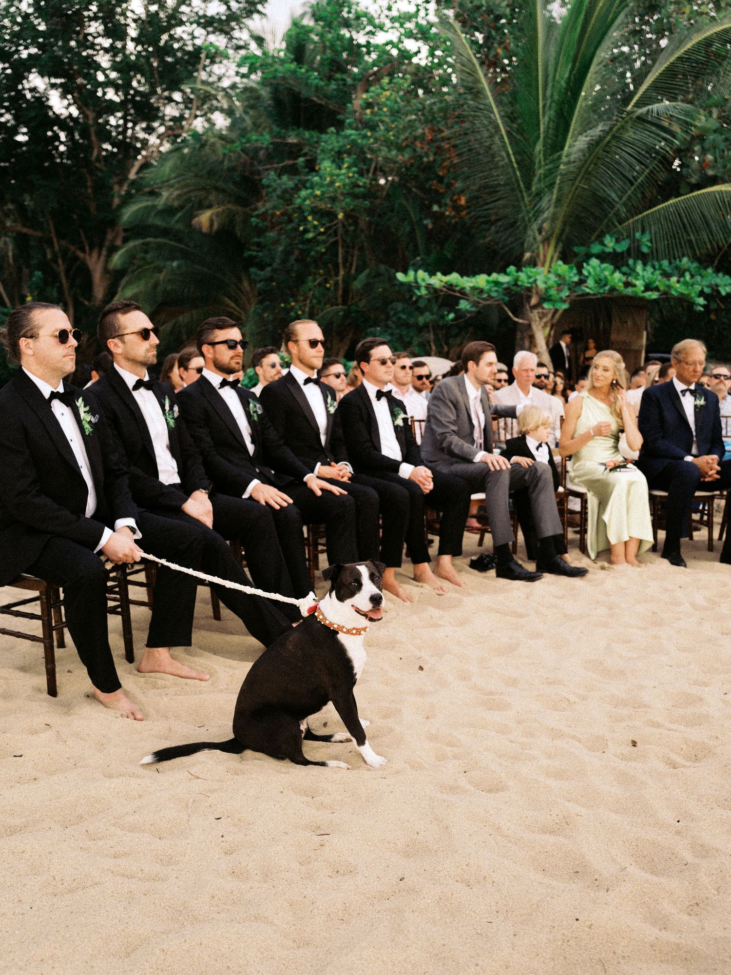 A group of wedding guests in formal attire participate in a playful tug of war game on a sandy beach.