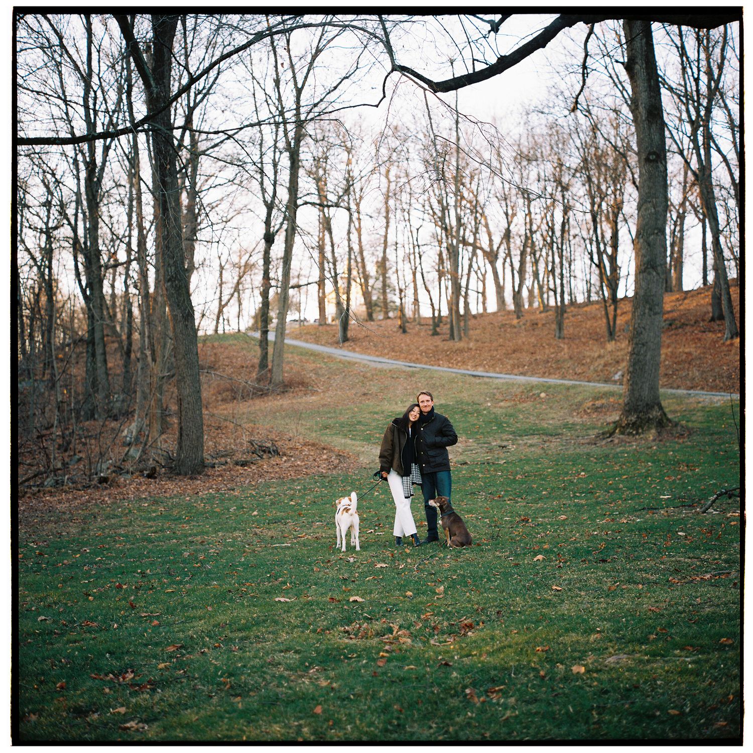 People and dogs walk together on a grassy hillside in a leafless autumn forest setting.