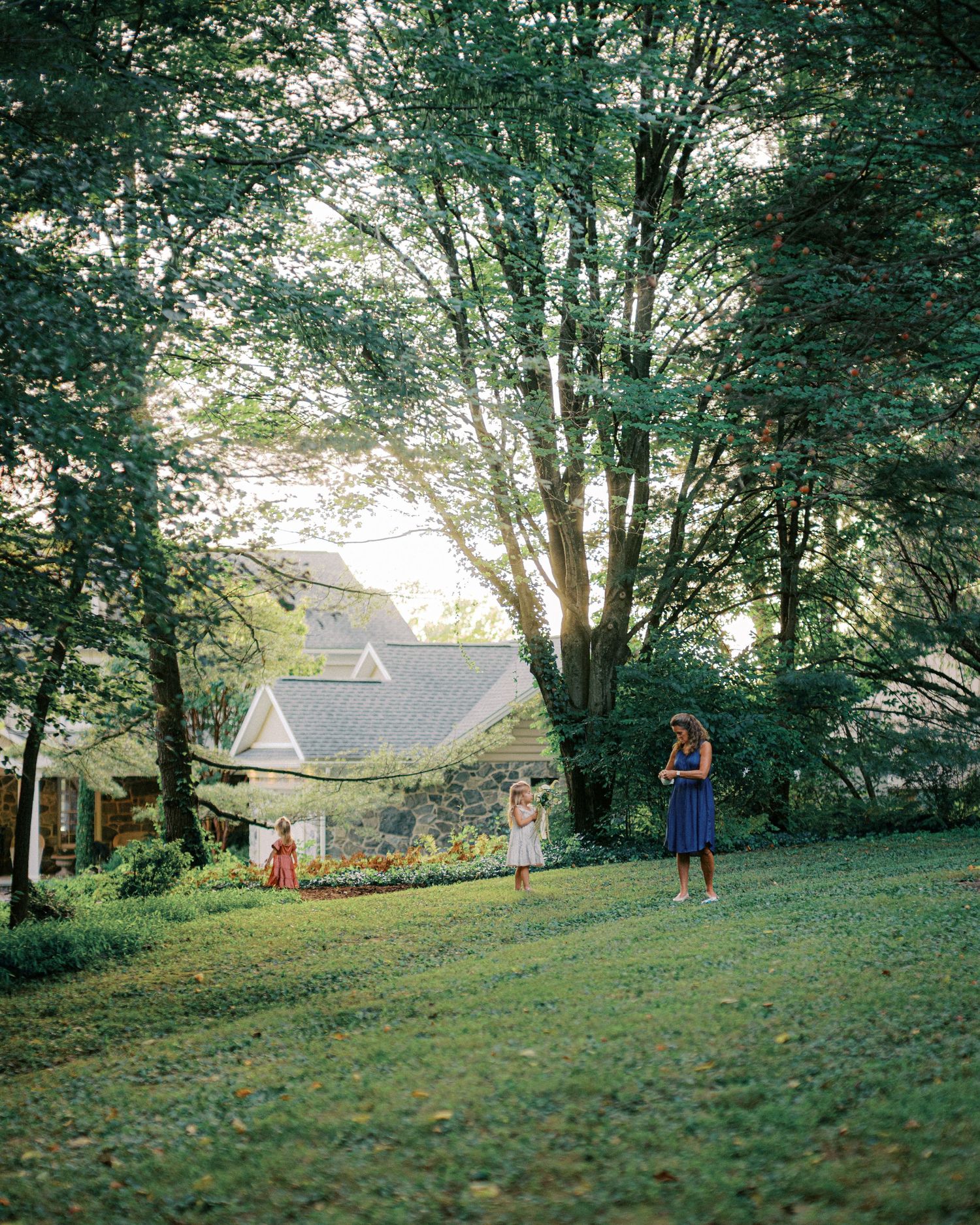 Green hillside with houses visible through trees in soft natural lighting.